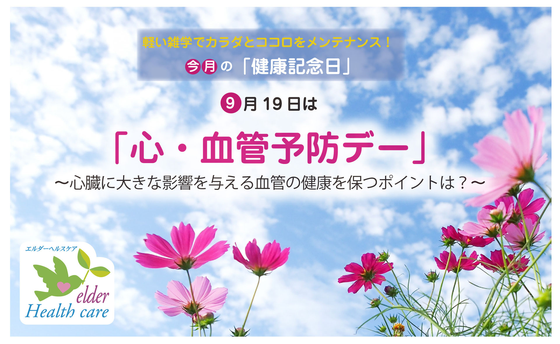 今月の健康記念日 今年の9月19日は何の日 株式会社オフィスなかおか 今月の健康記念日 今年の9月19日は何の日 株式会社オフィスなかおか