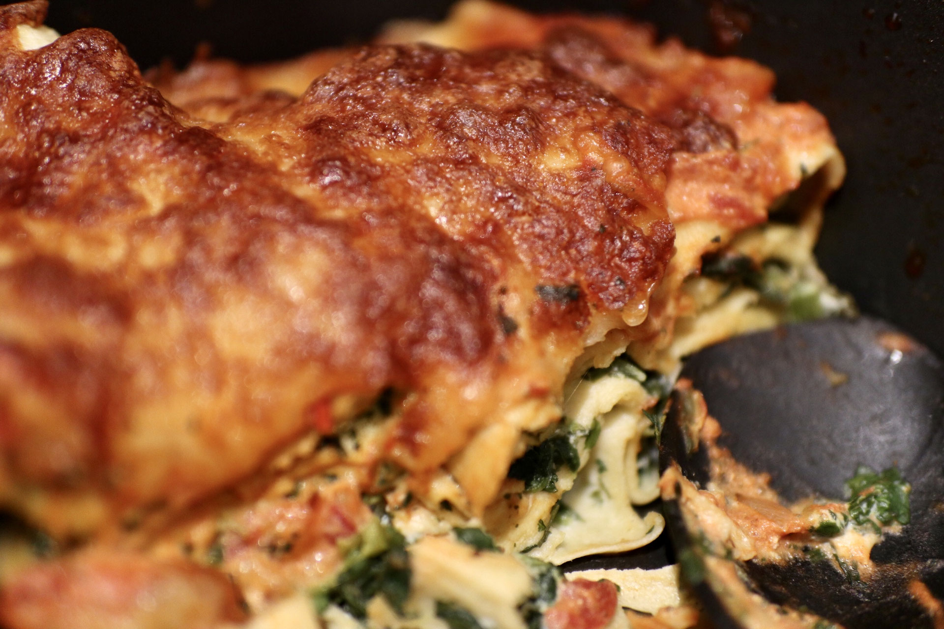 Cannelloni Genussjunkie