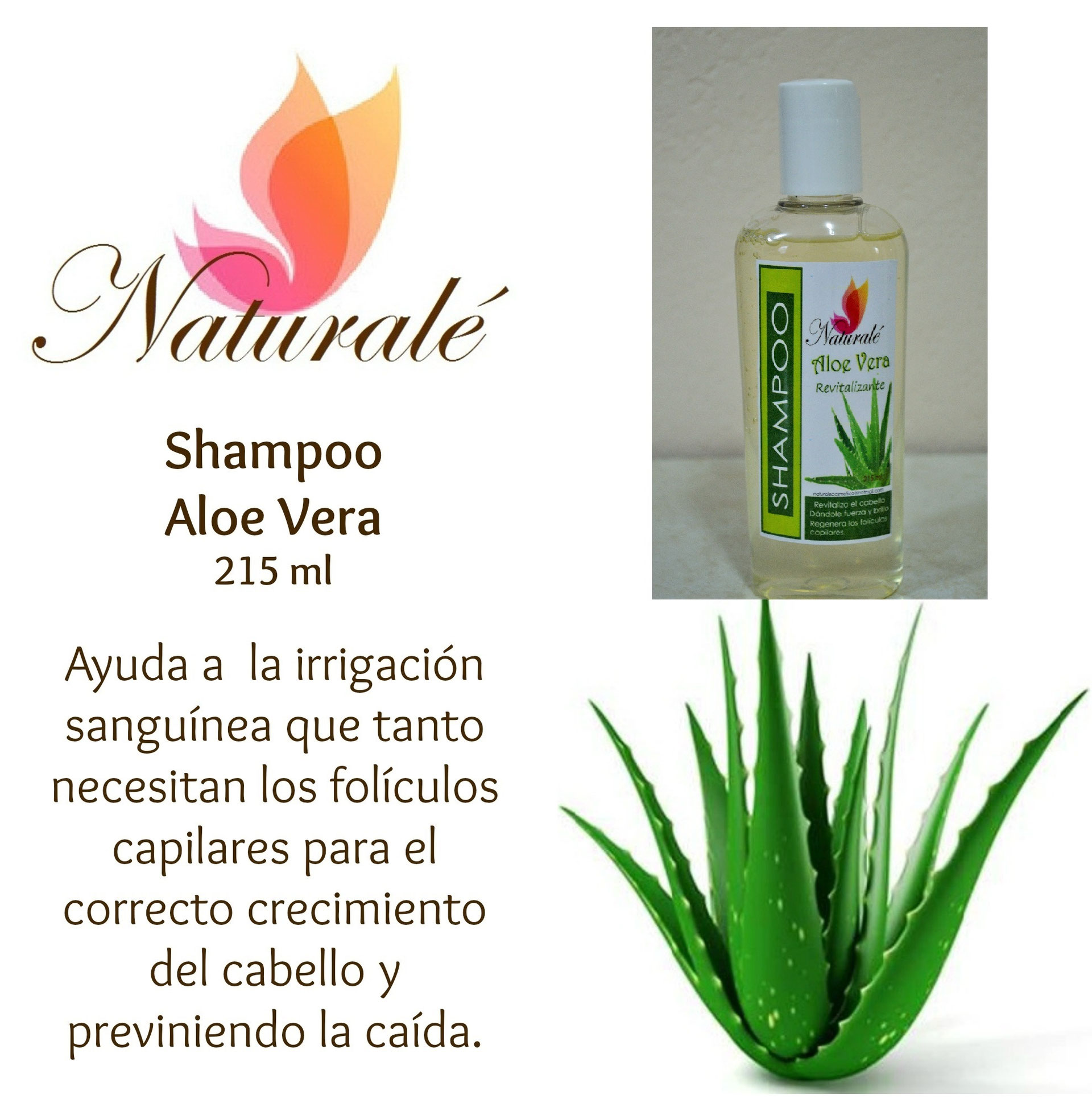 Shampoo con Aloe Vera