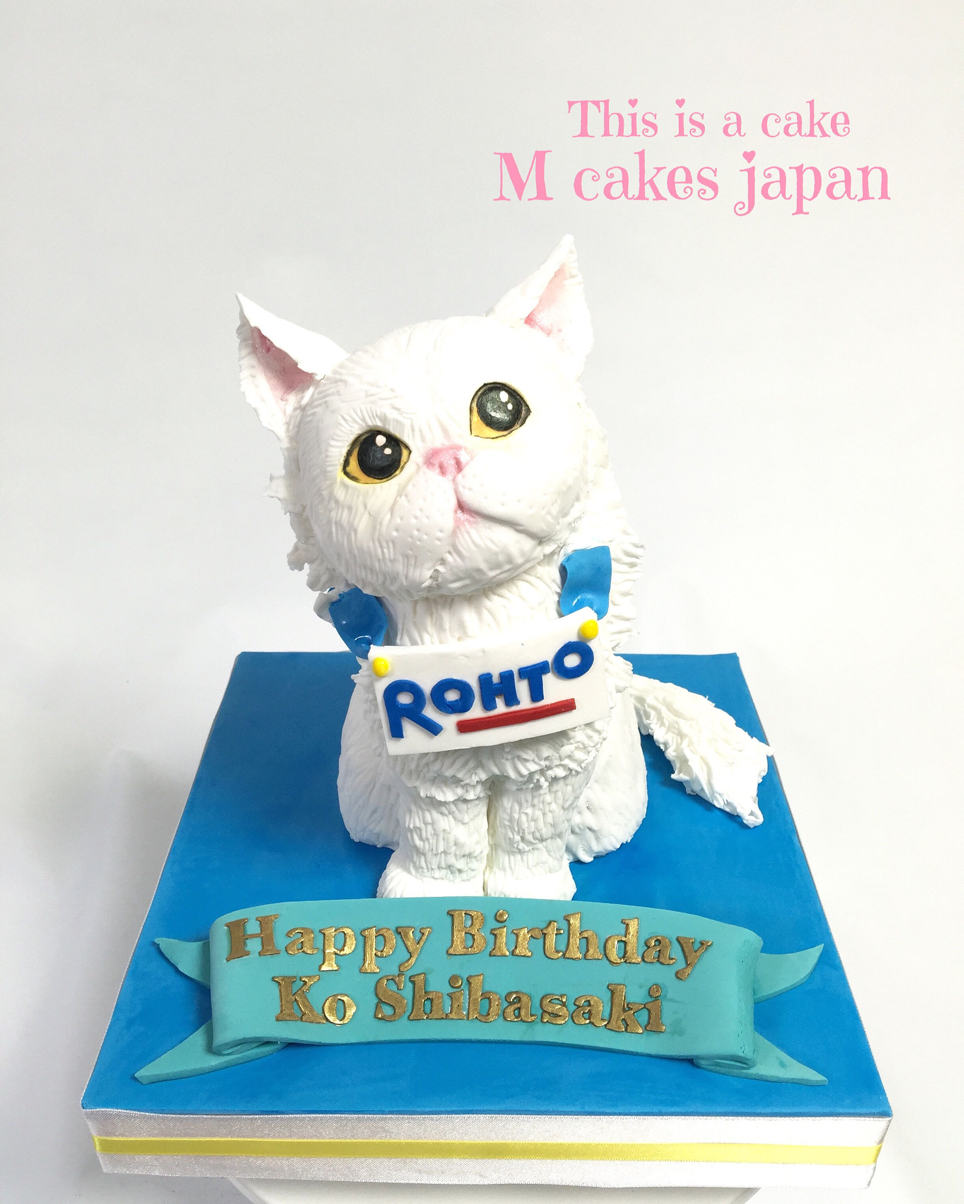 【エム】ジモモ　白猫 NKMM（猫にモテモテ） #kiyoko #三毛猫 #三毛猫部 #maro #cat