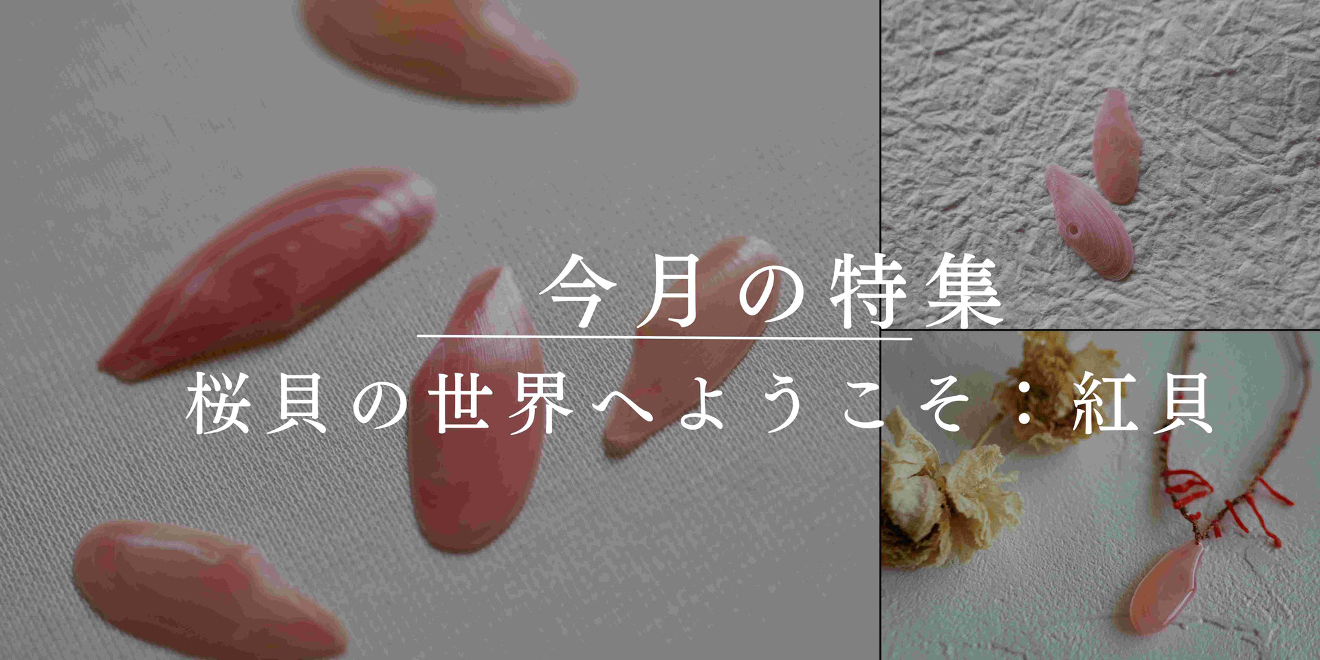 桜貝の世界へようこと | 紅貝 - さくら貝アクセサリー Lino