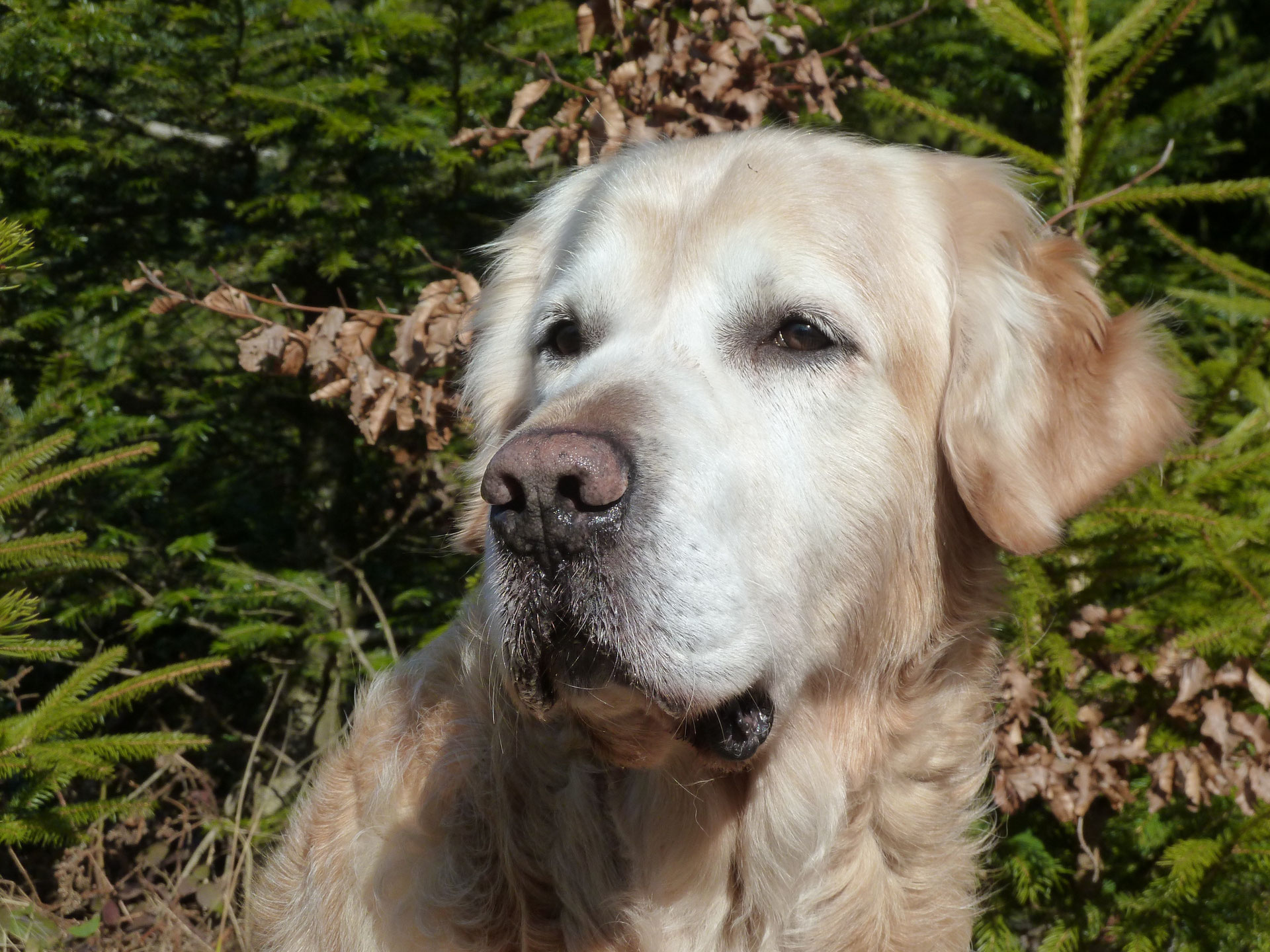 Erinnerungen - Image