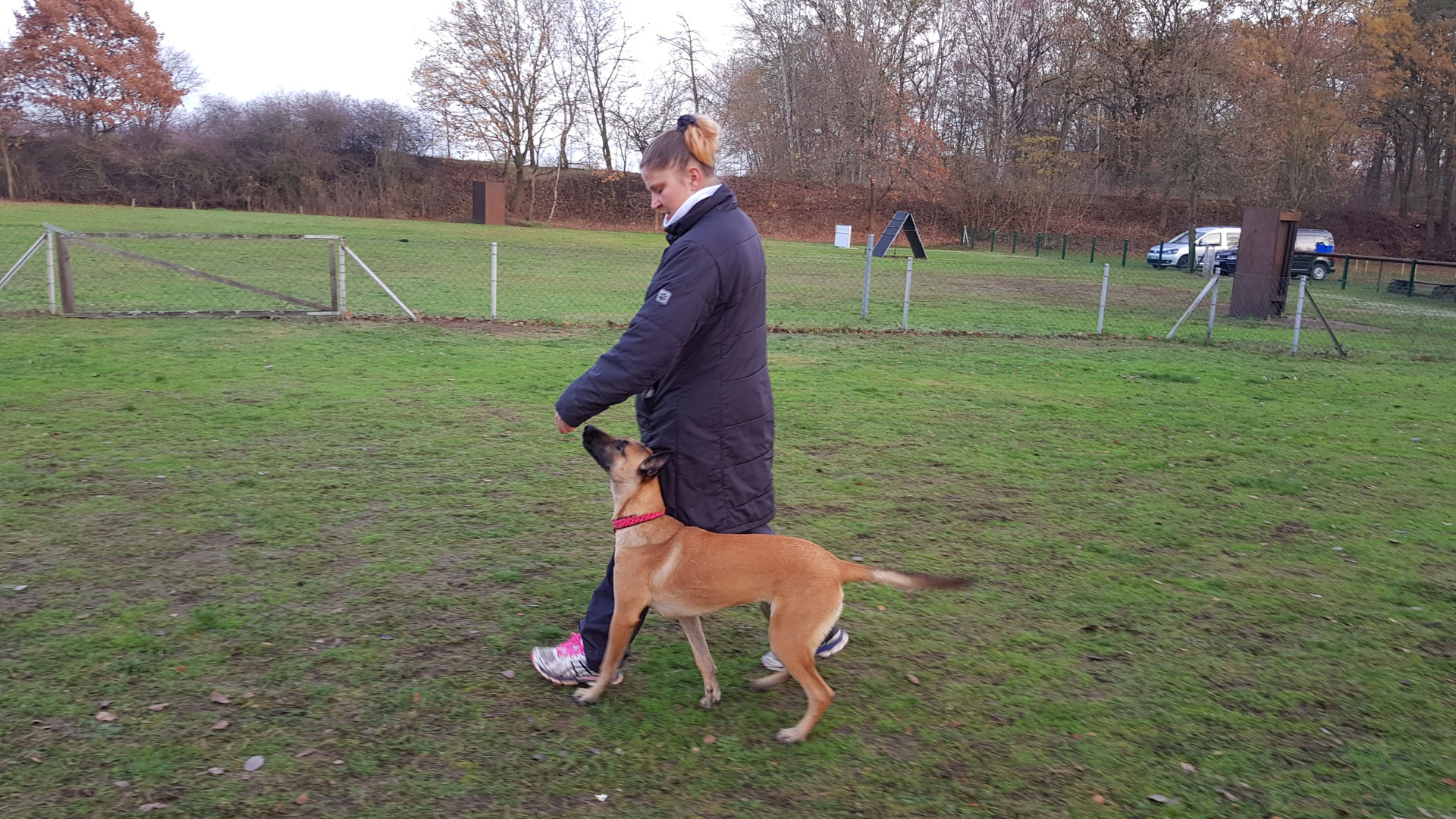 Welpenkurs hsvvelstoves Webseite!