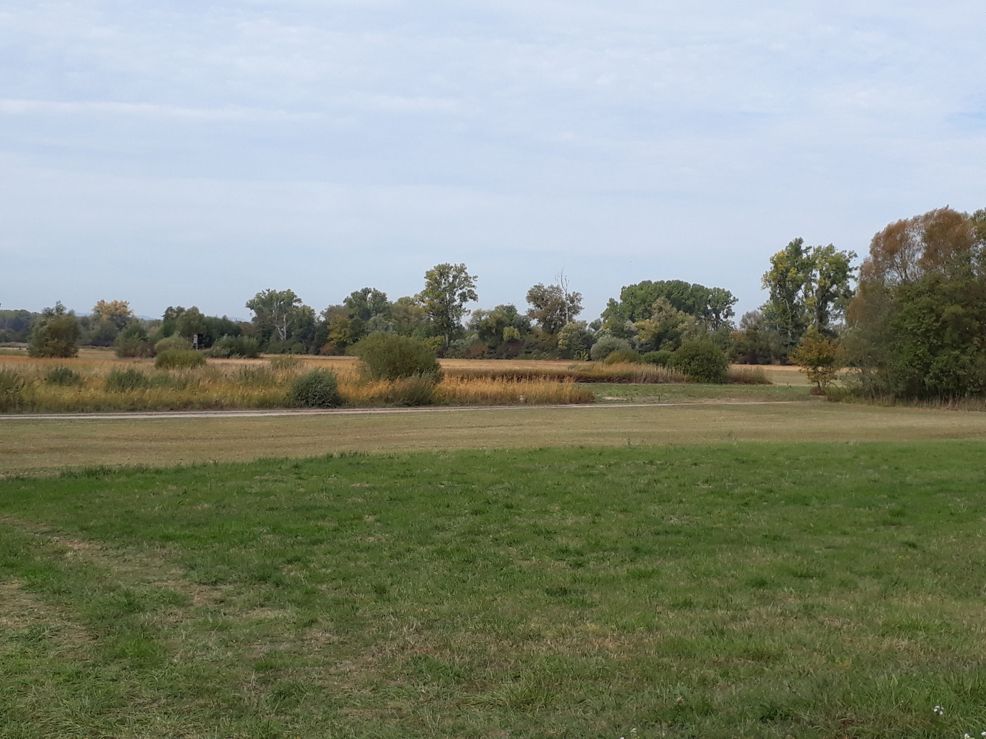 Rund um Wörth am Rhein radtourensuedpfalzs Webseite!