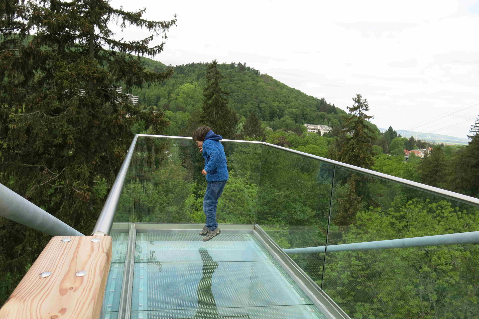 Baumwipfelpfad Bad Harzburg Glassteg Fur Schwindelfreie Monika Herbst