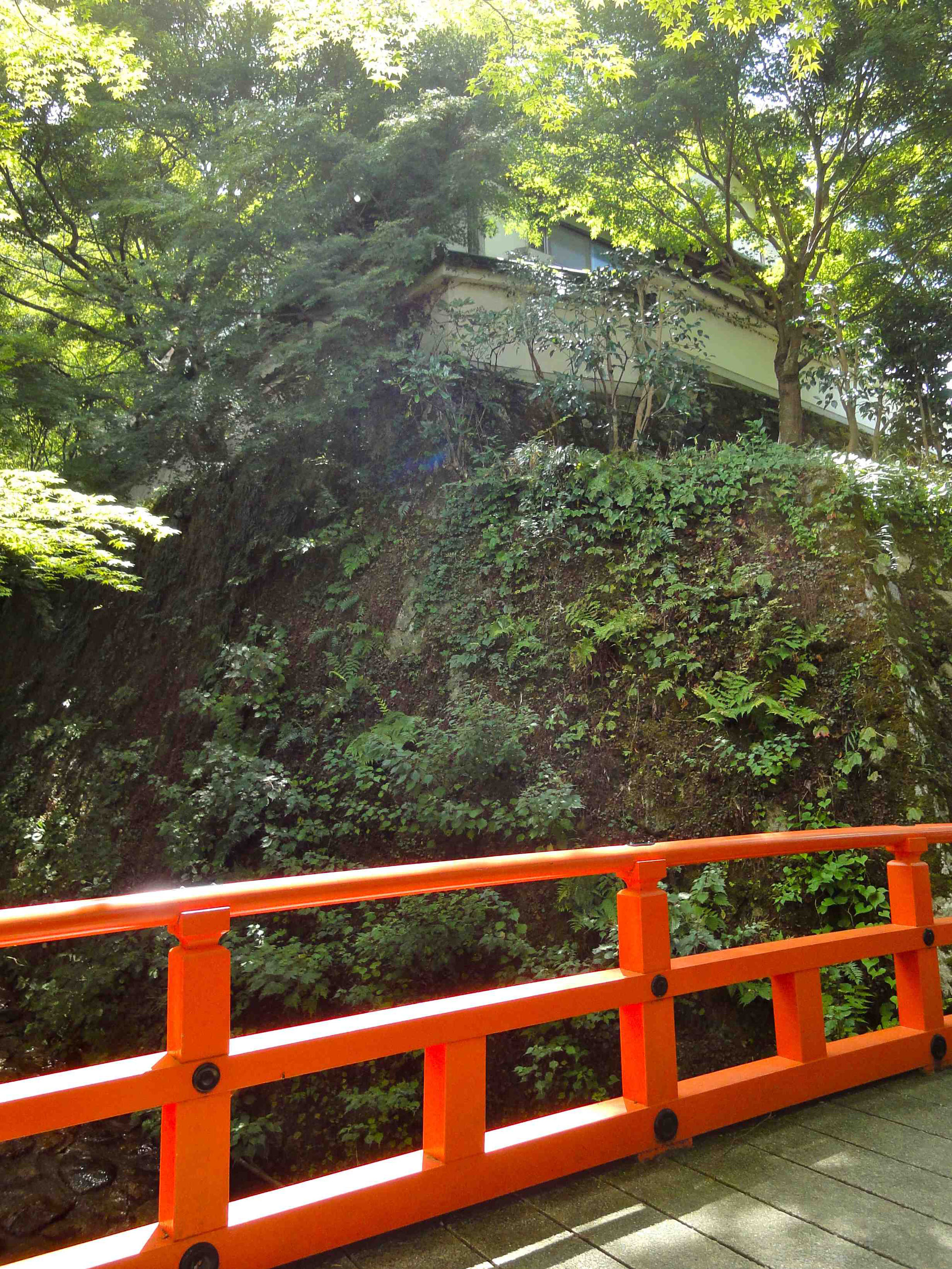 寺院の庭　UNF　2枚 大蓮寺庭園 ― 吉河功作庭…千葉県浦安市の庭園。 | 庭園情報