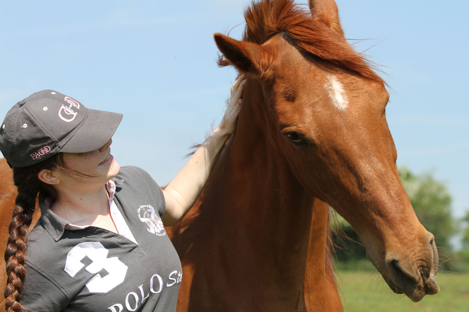 HORSE CARE AND MANAGEMENT DIPLOMA COURSE FairHorsemanship