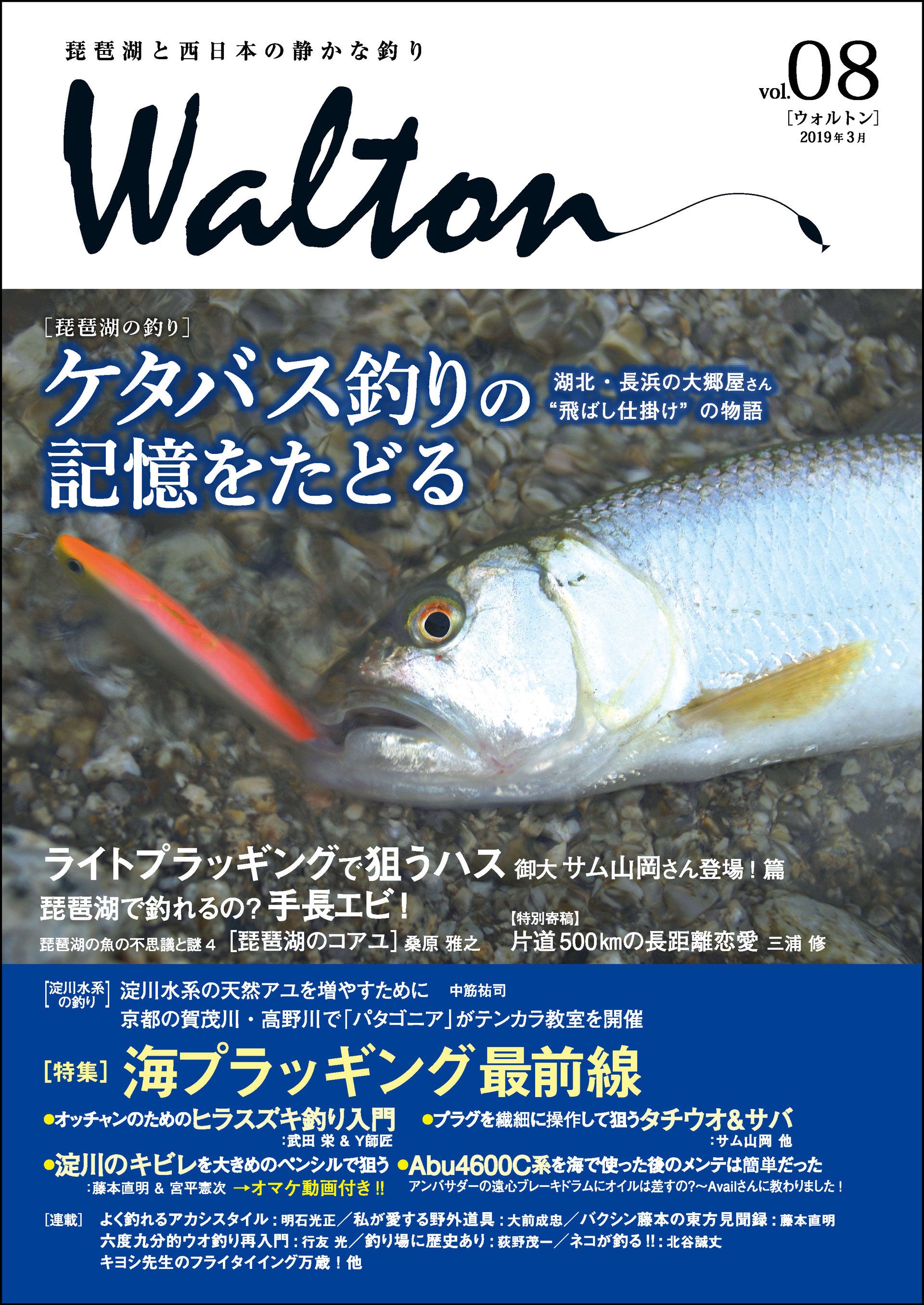 08号 できました Walton 08号 できました Walton