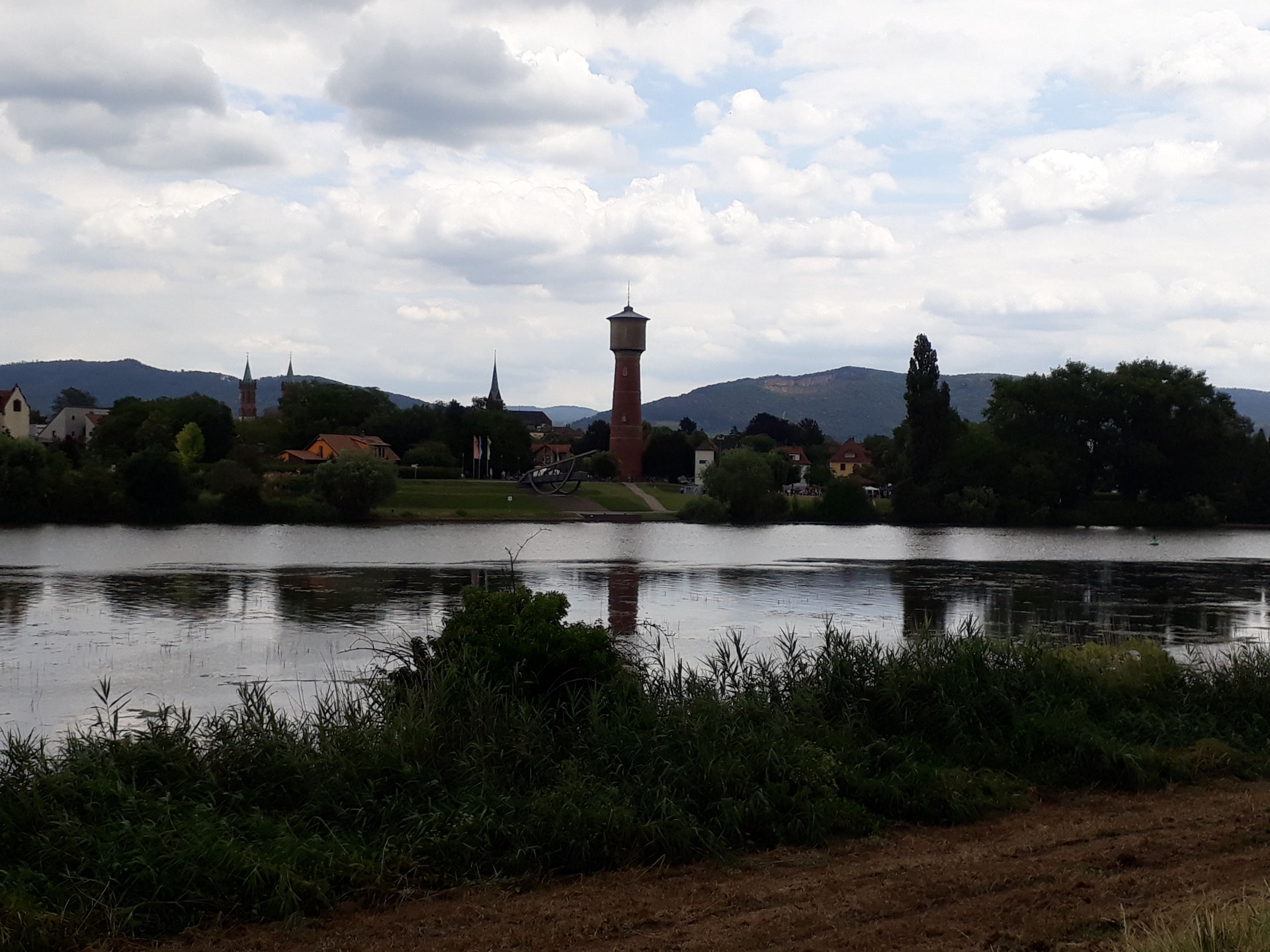 Beiderseits des Neckars zwischen Heidelberg und Seckenheim Radtouren