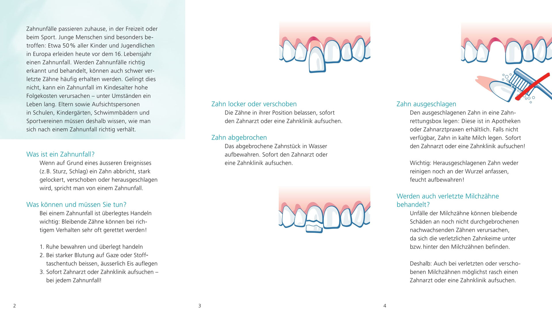 Systematik - mundgesundheit-bl.ch Webseite!