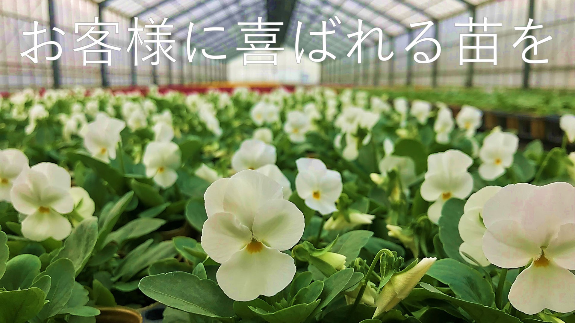 有限会社田中丸ガーデン
