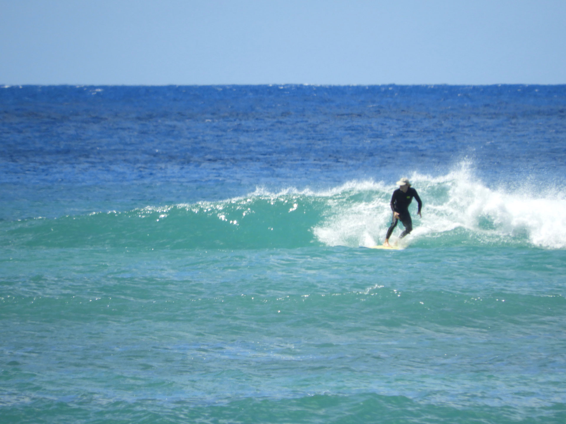 Box Jellyfish Advisory ハワイ ワイキキ サーフショップ KAION （カイオン） at WAIKIKI SHORE