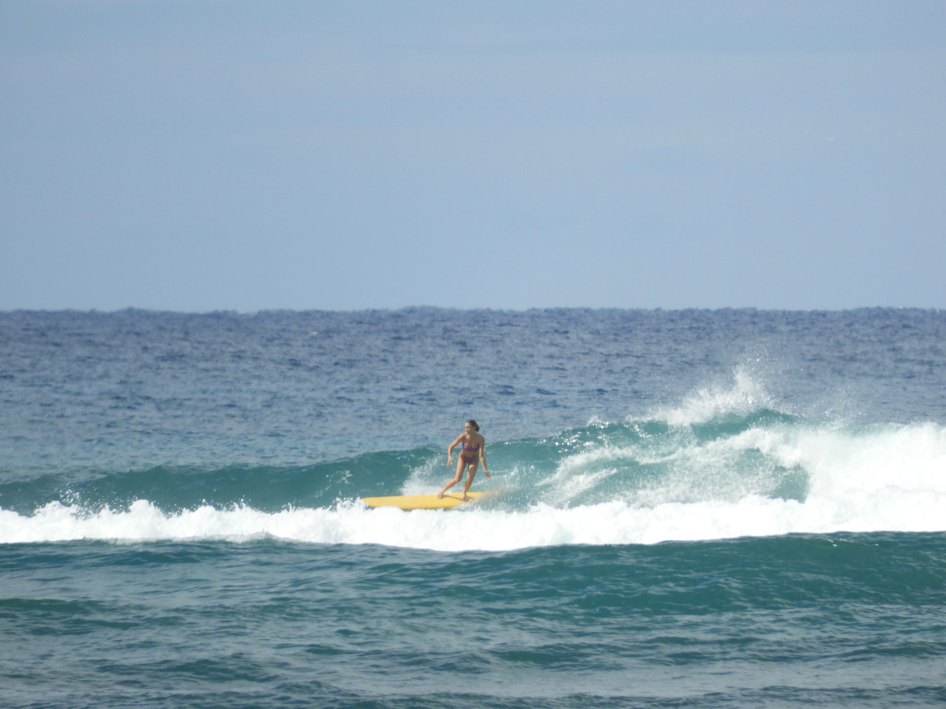 Waikiki Summer Festival ハワイ ワイキキ サーフショップ KAION （カイオン） at WAIKIKI
