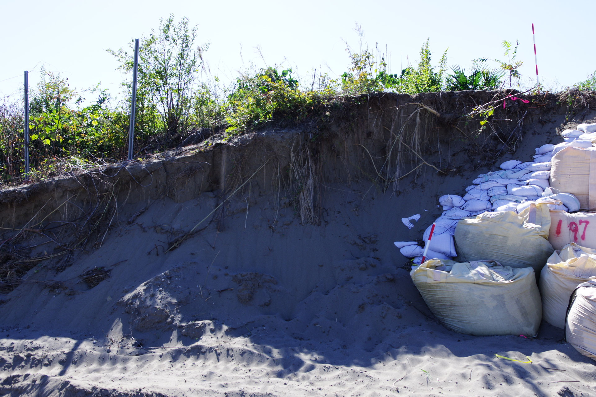 自然堤防とは何か 若宮戸ソーラーパネル事件 ３ Naturalright Org