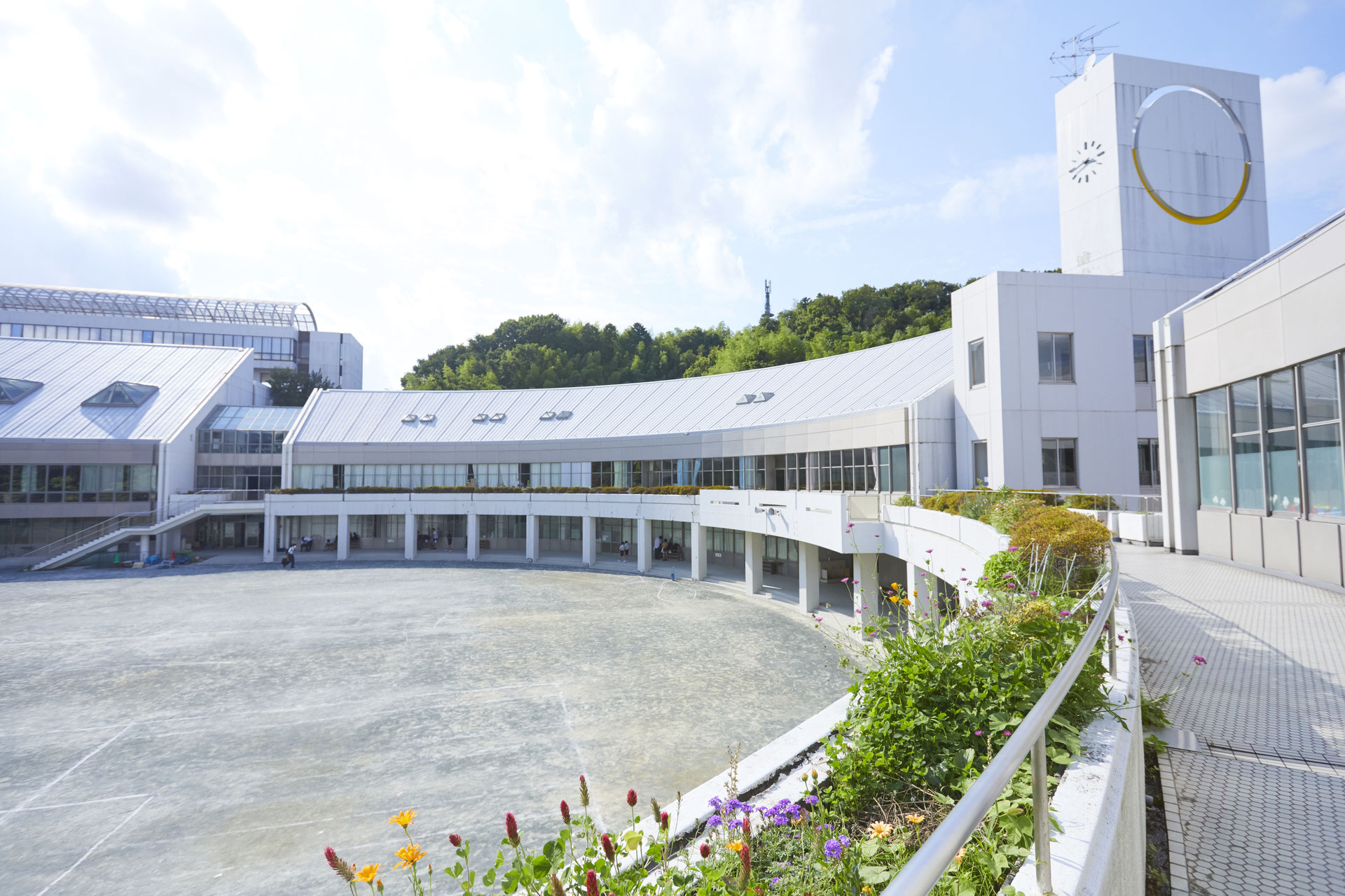 桐蔭学園小学校 - 東京・神奈川 年中児以下対象 私立小学校個別