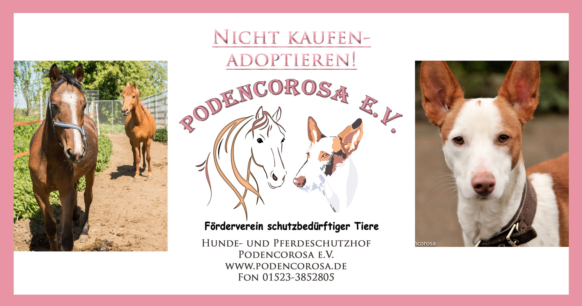 Podencorosa Hunde