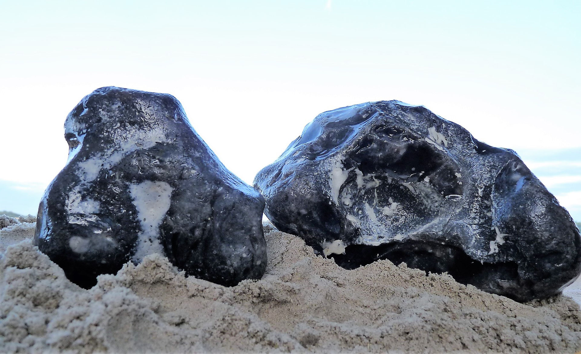 Schwarz-weiße Göttersteine aus den Ostseefluten - WagnersAusblick-Blog