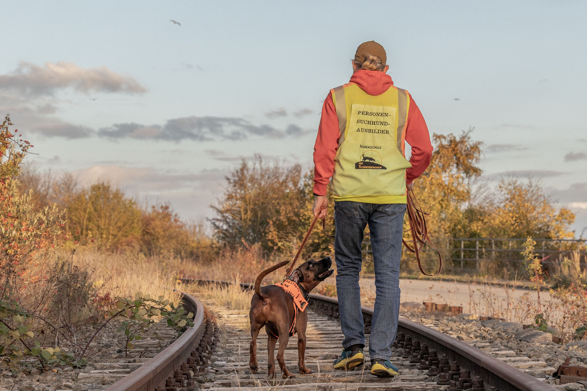 49+ Hundeschule Am Kleinen Teich, Denn das welpenalter ist eine sehr