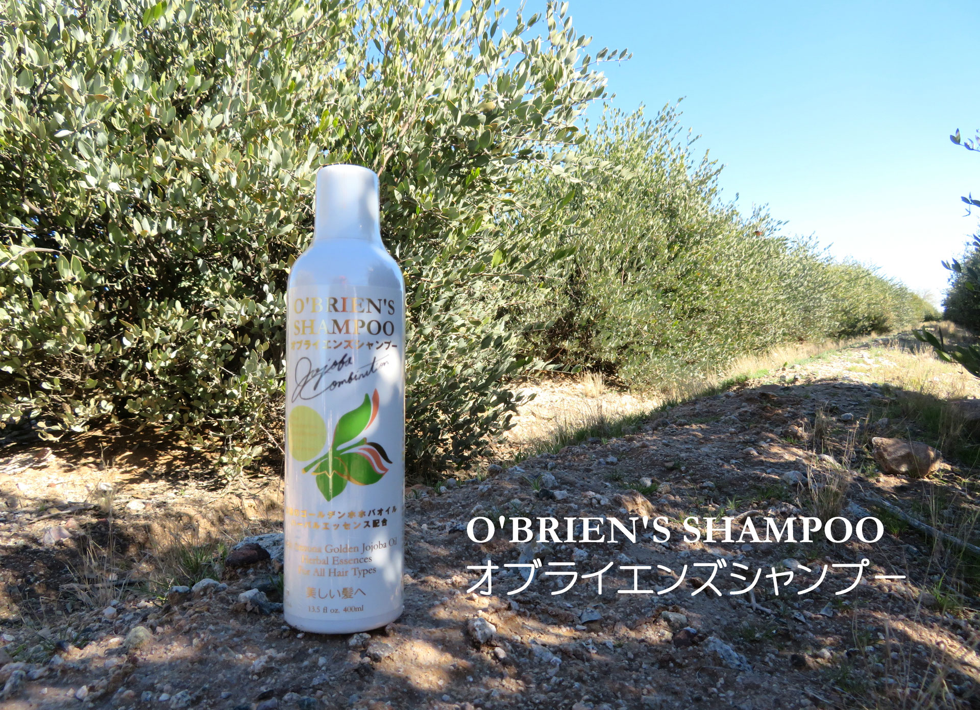 ♔ オブライエンズシャンプー ✾ O'BRIEN'S SHAMPOO - ♔アリゾナ州