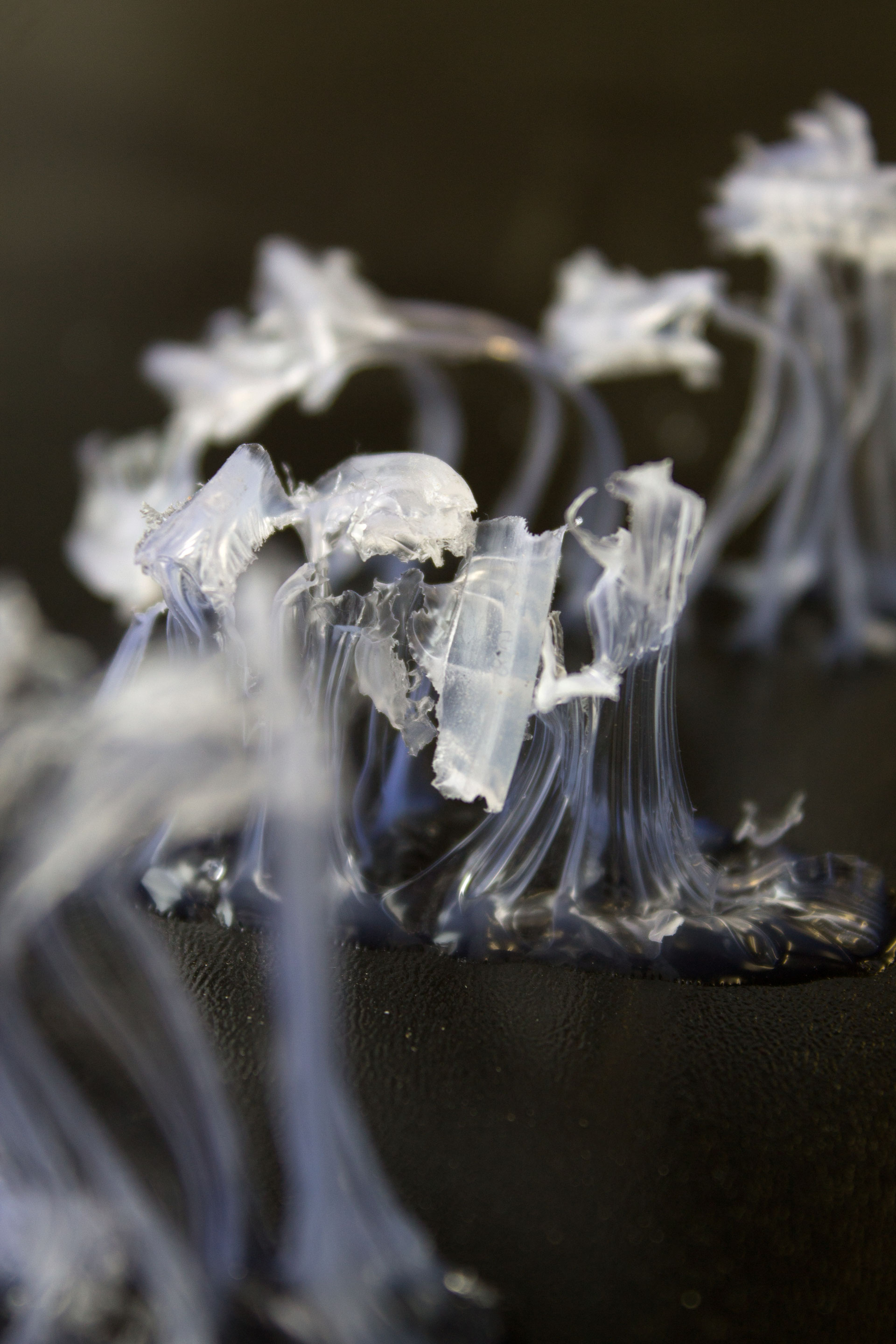 PLASTER & SCULPT Magdalena Orland