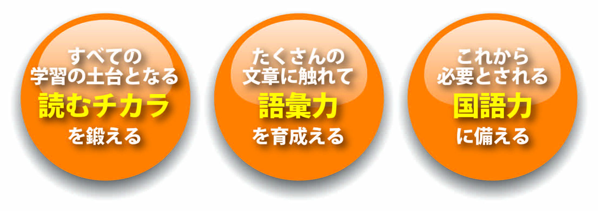 速読解力 てらっこクラブ Terracco Club 品川区東大井 速読解力 てらっこクラブ Terracco Club 品川区東大井