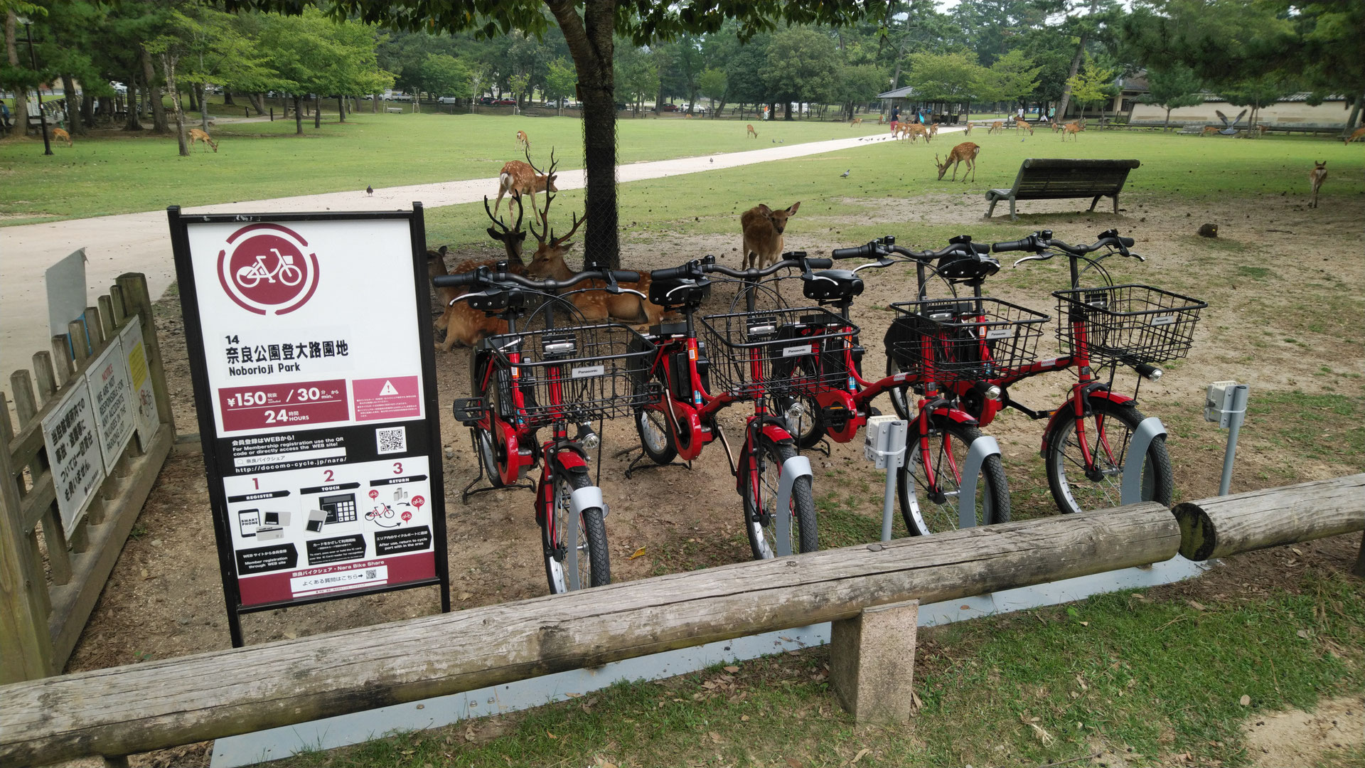 奈良市自転車レンタルどこでも返却可能