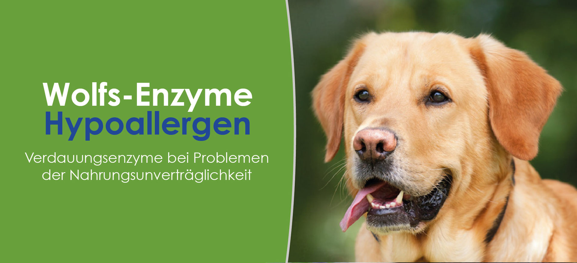 Über WolfsEnzyme Hypoallergen WolfsConcept für den Wolf in Ihrem Hund