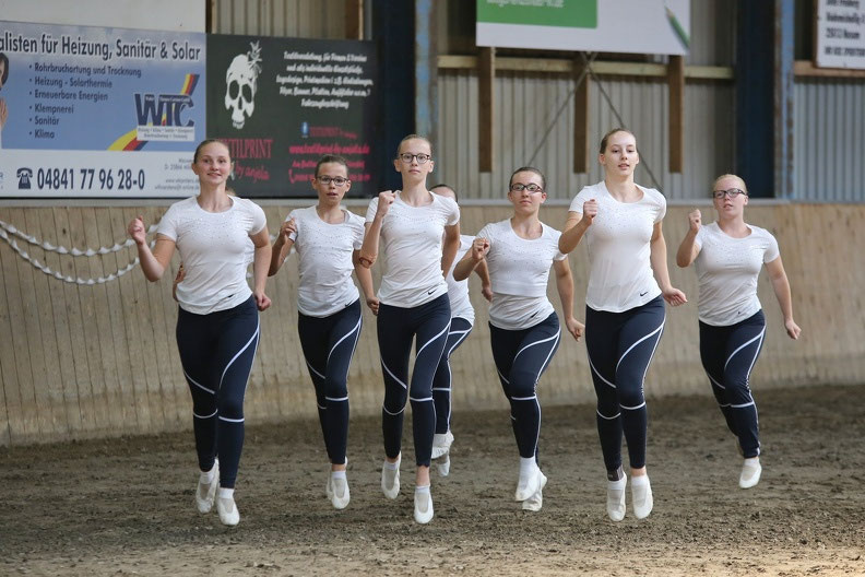 Mildstedt I Mildstedter Voltis