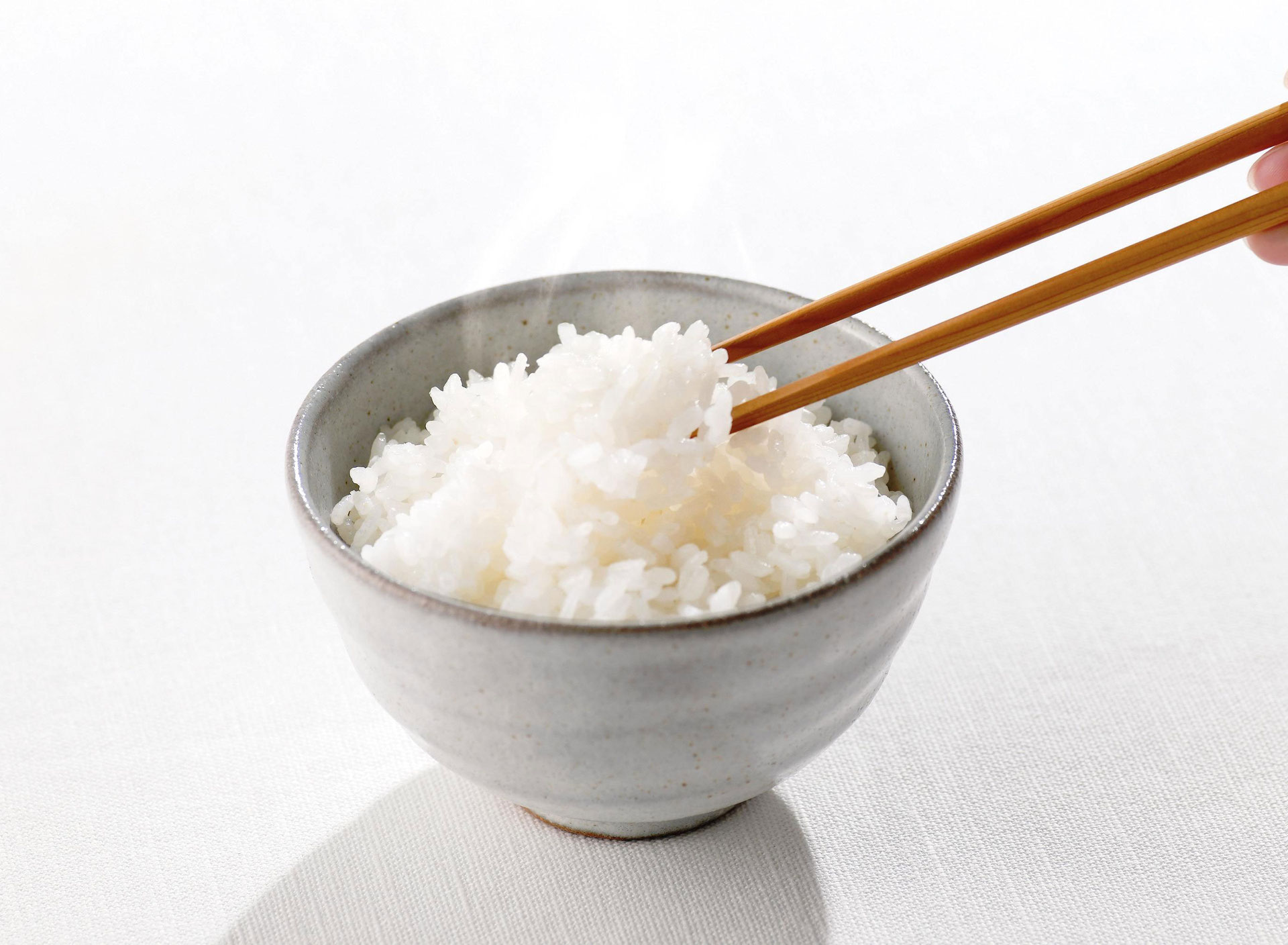 プラスチックのご飯って知っていますか cossfida
