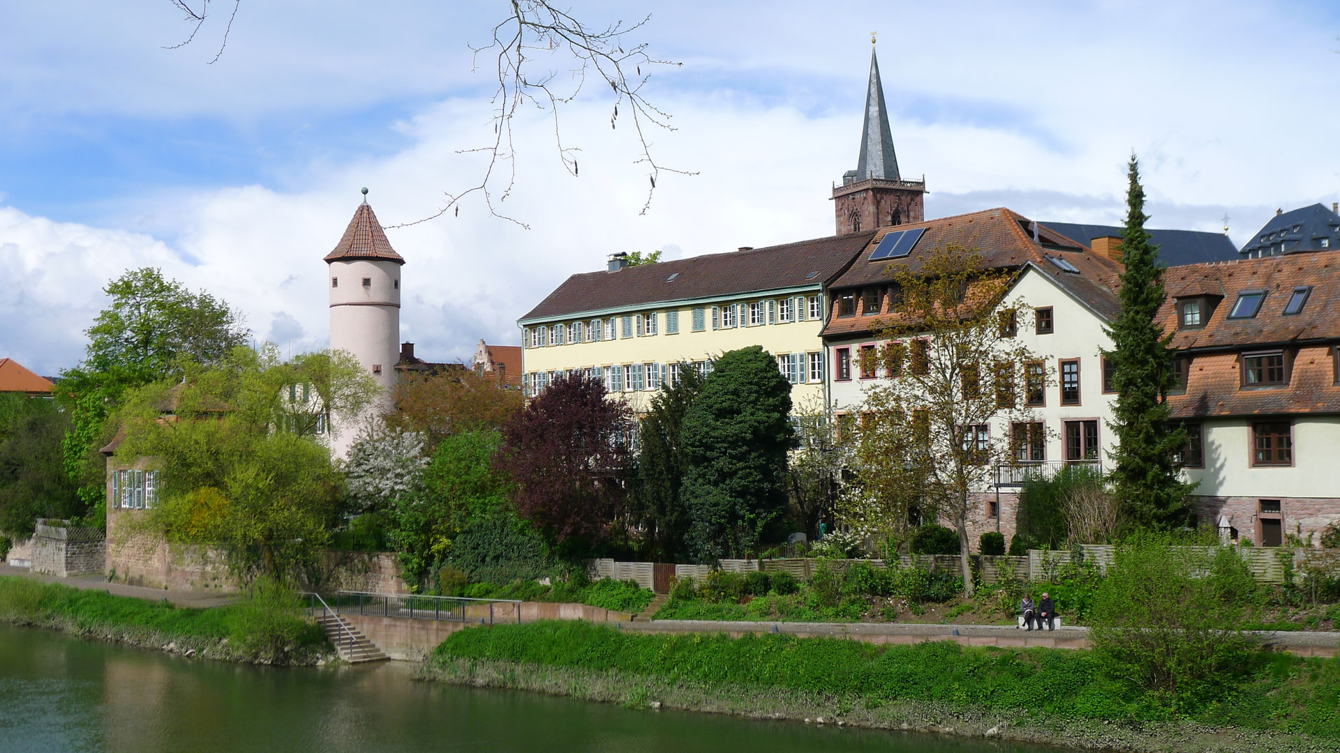 Wertheim aktiv erleben NaturErlebnisFührungen