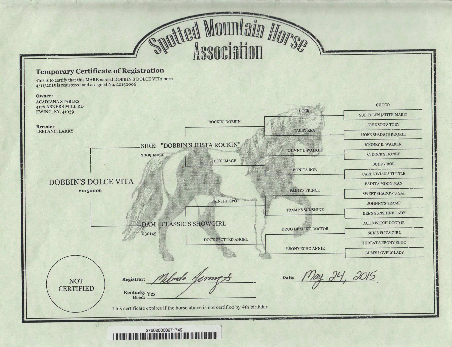 pedigree DD Chevaux Rocky Mountain en Alsace