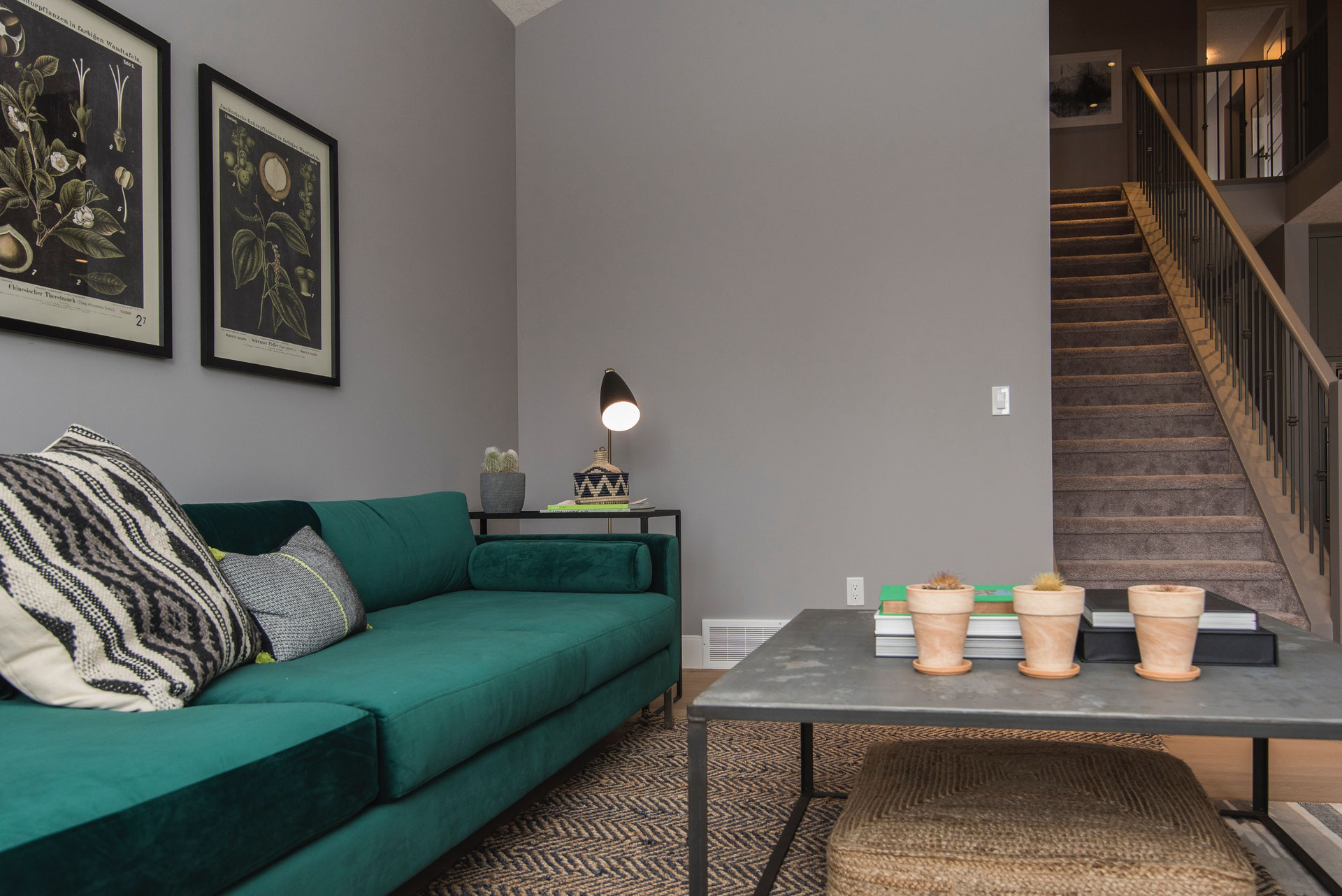 tapijtreinigingsbedrijf