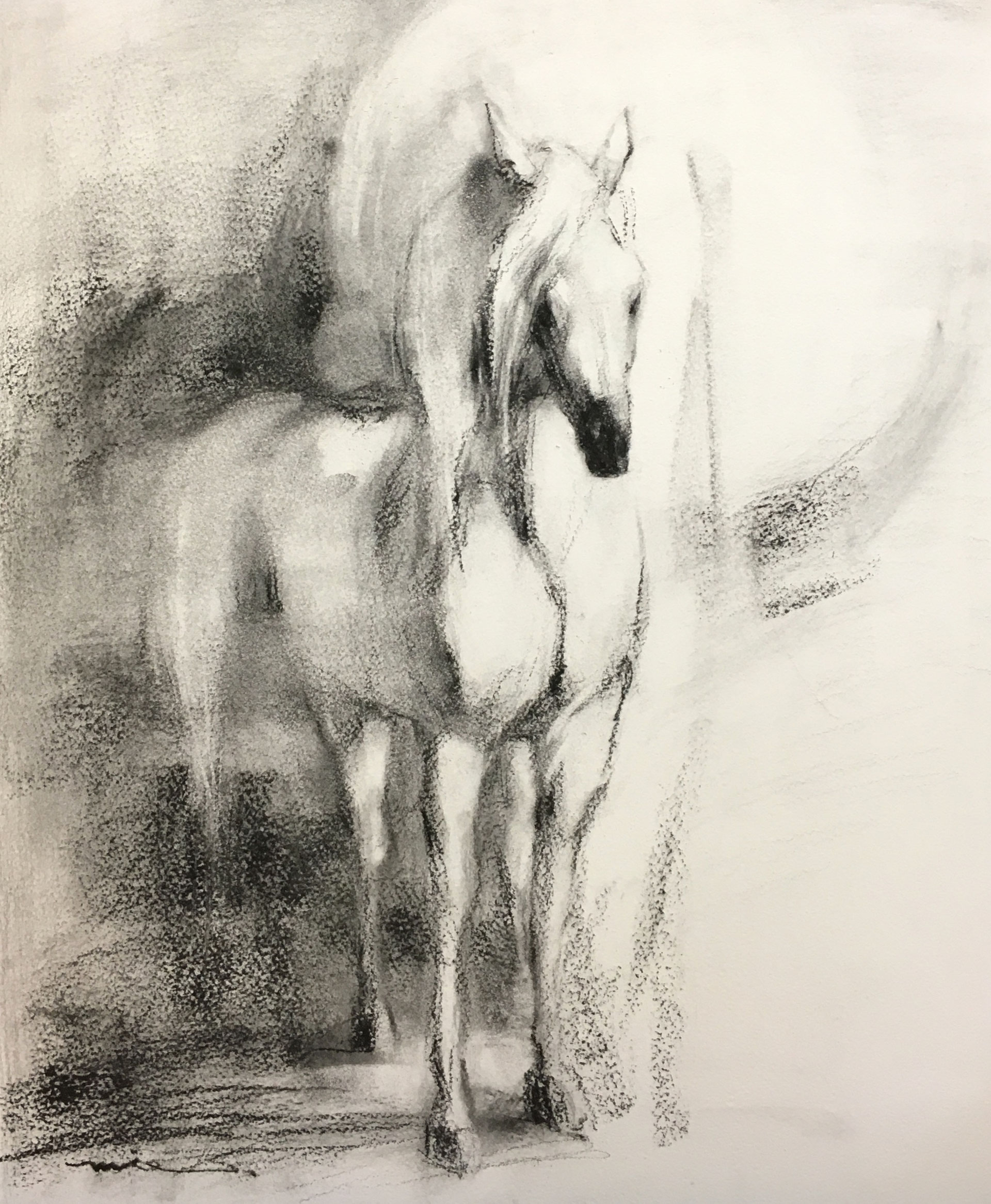絵画 馬