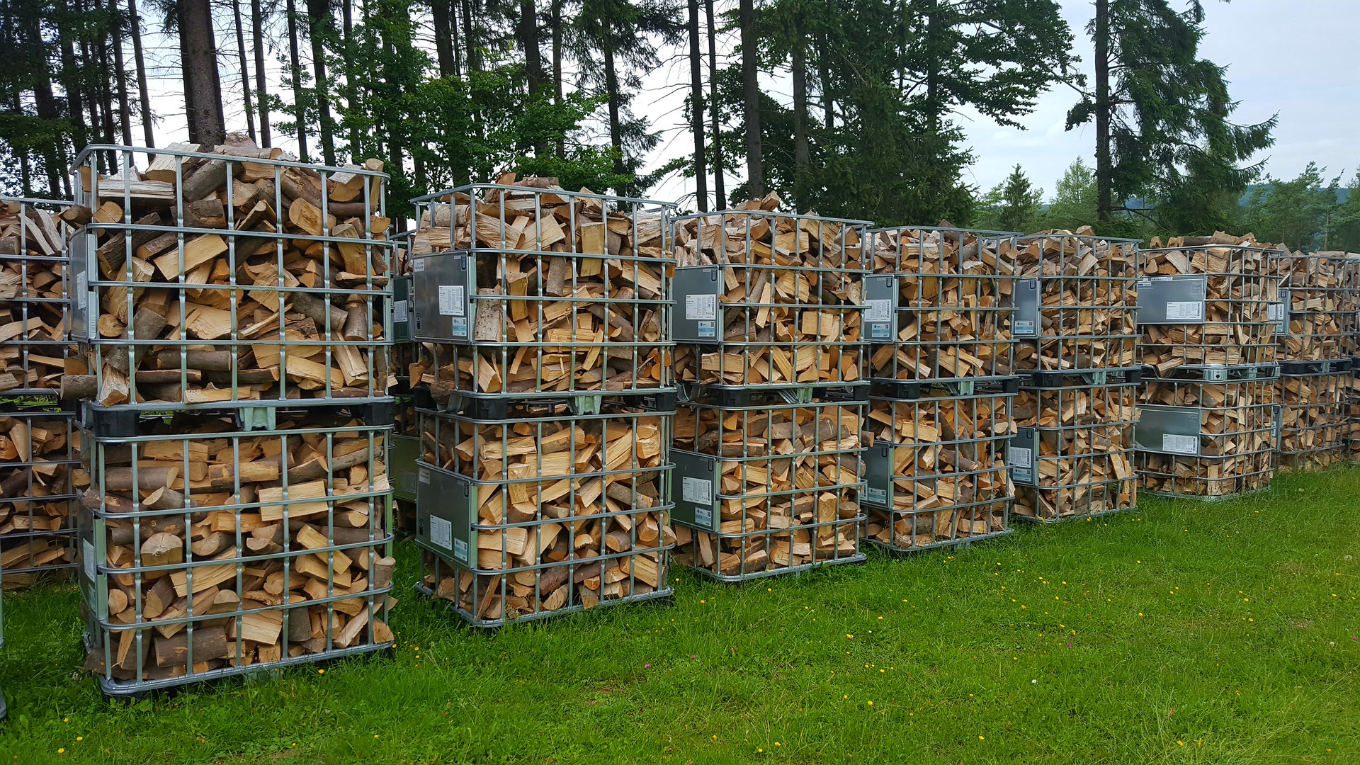 Lagerung - Baum Könige, Brennholz, Baumfällungen und Weihnachtsbäume in