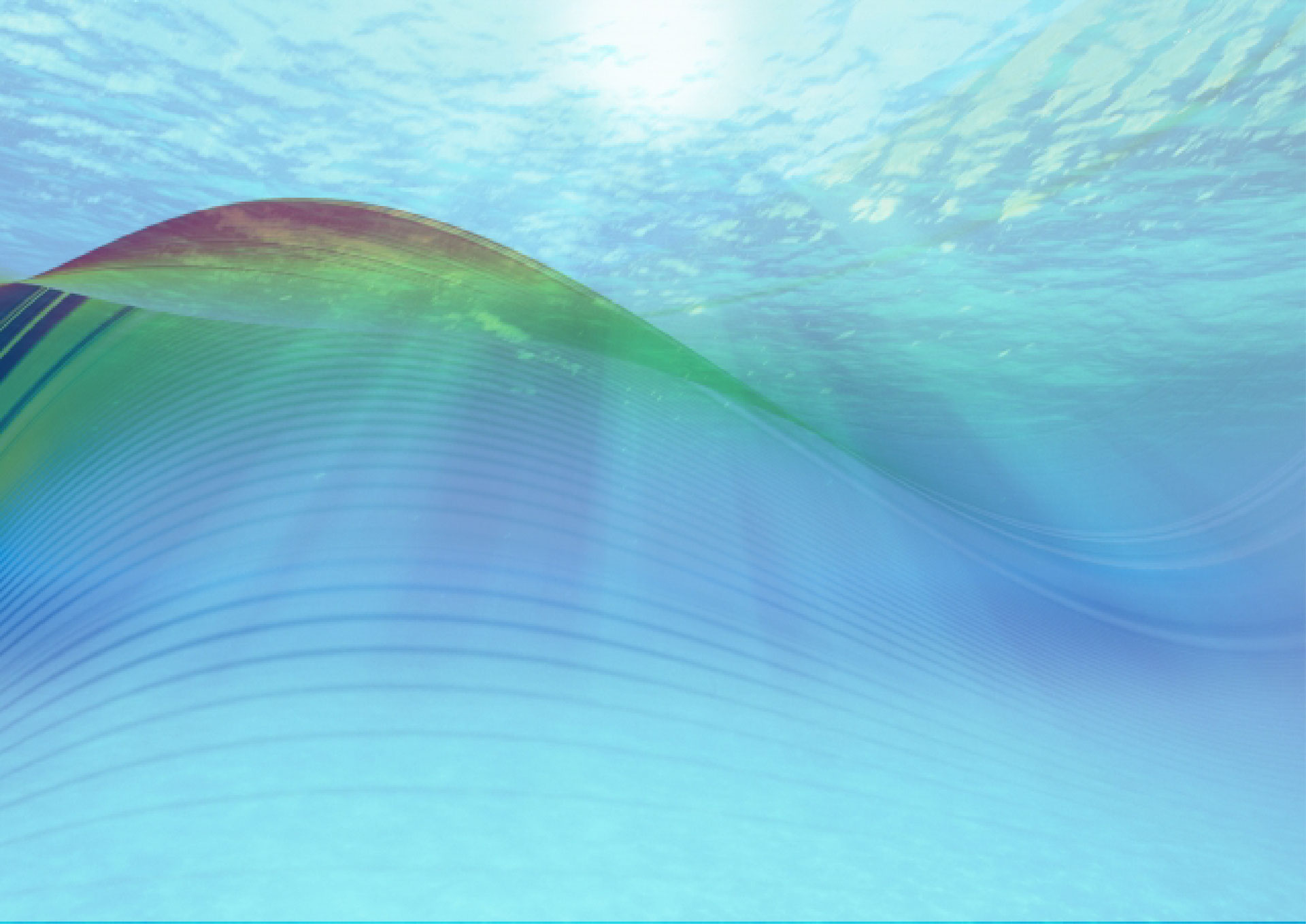 中庸 中道のバランス Inner Wish インナーウィッシュ