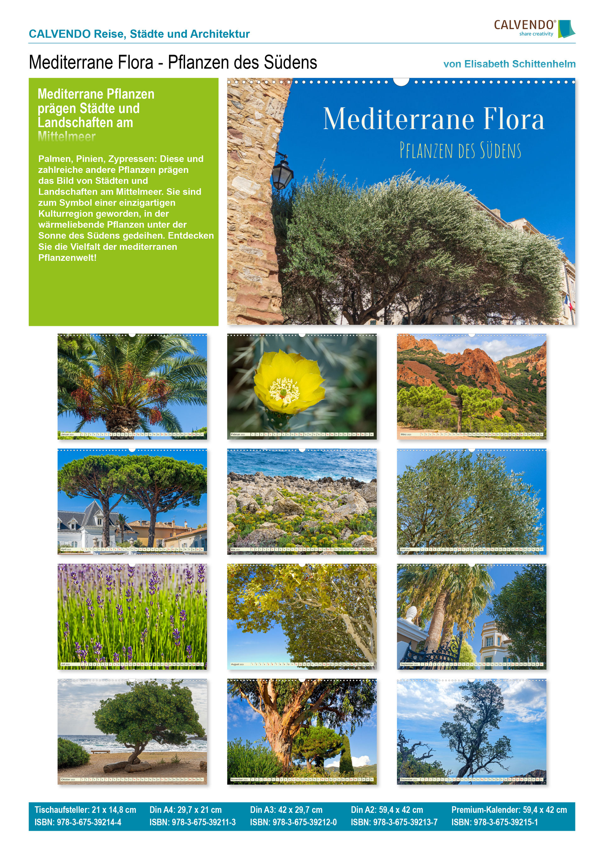 Mediterrane Flora Fotografie Elisabeth Schittenhelm