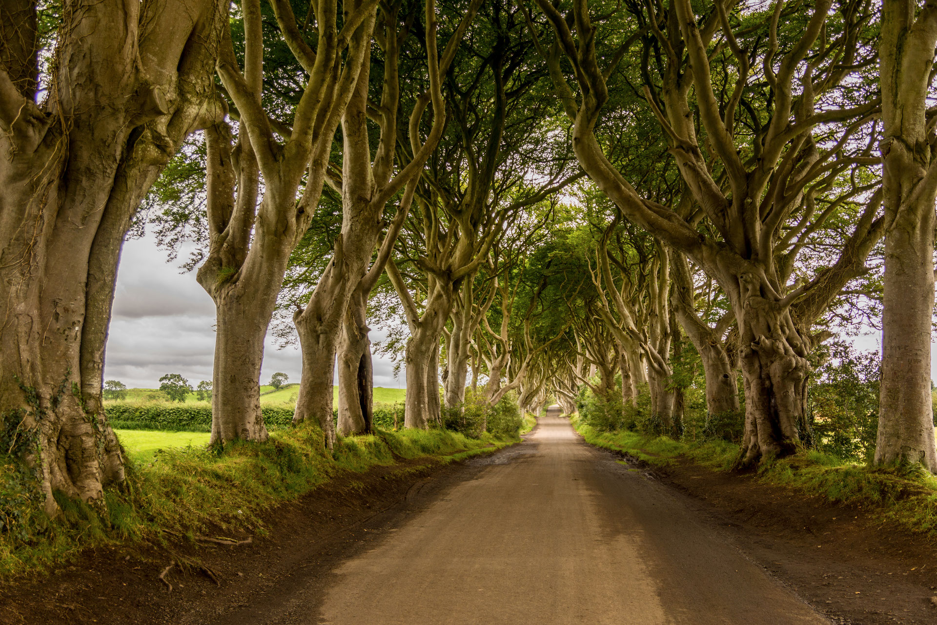 Landscape - Proissl Photography