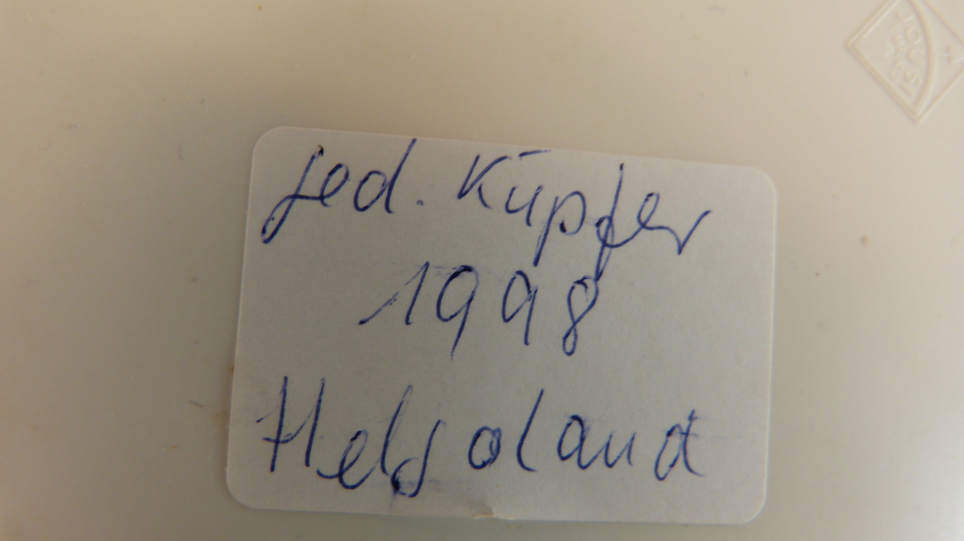 Kupfer - feuersteinemeer Webseite!