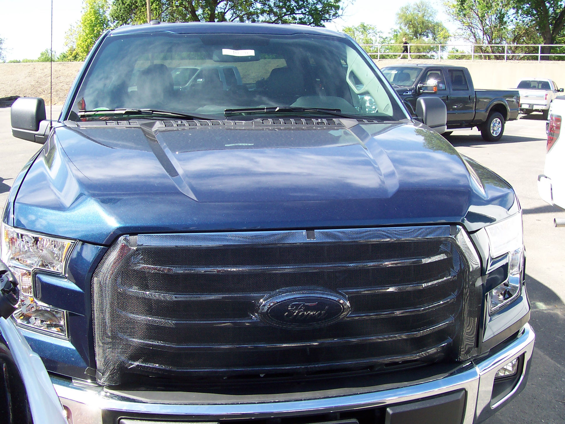 Snap On Bug Screen 201516 Ford F150 Winter Front Grill Cover And Bug