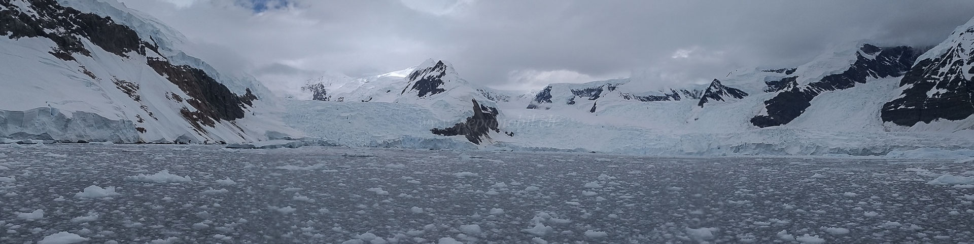 Frauen suchen männer antartica