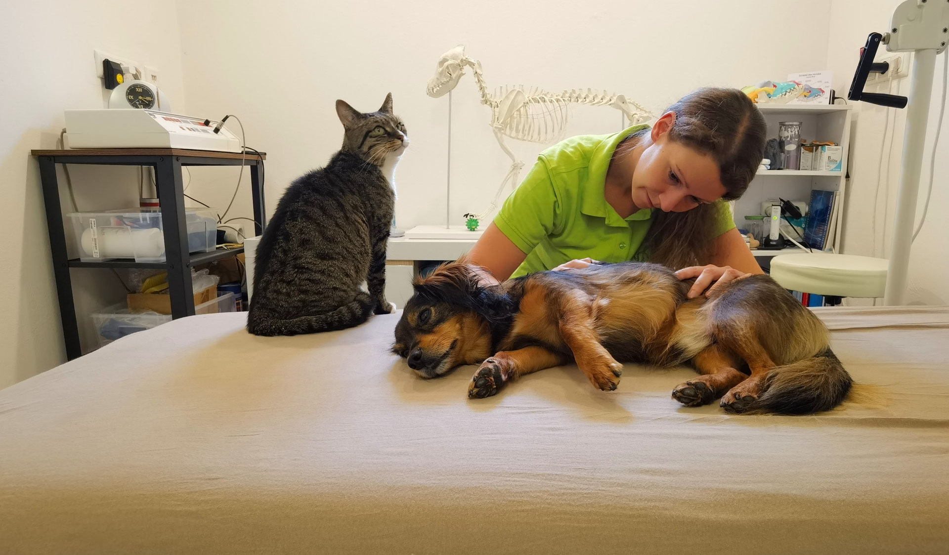Hundephysiotherapie Osteopathie Tierphysio Landshut