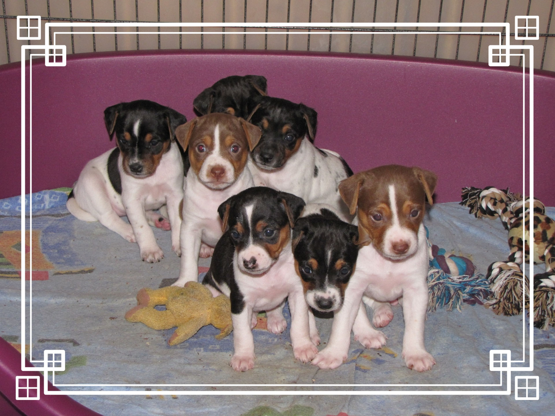 Dreamdancervomnahetal Jimdo Com Dreamdancervomnahetal