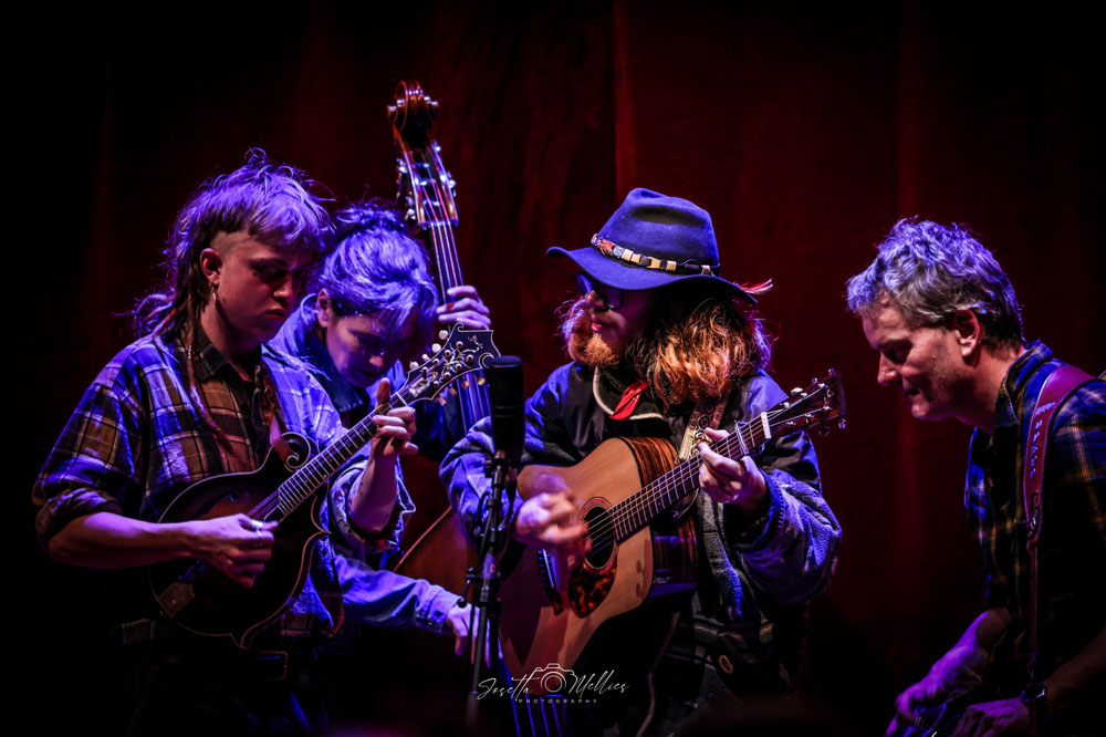 The String Beans De website van bluegrasshalfwayhouse!