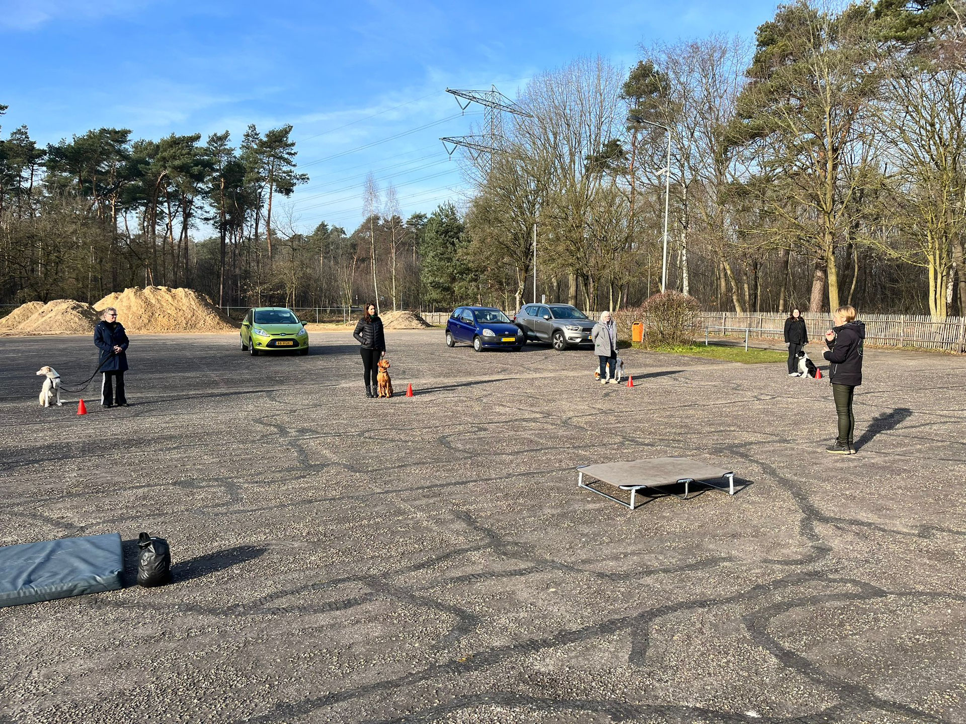 Hondentrainer De website van ofthehillscorner!