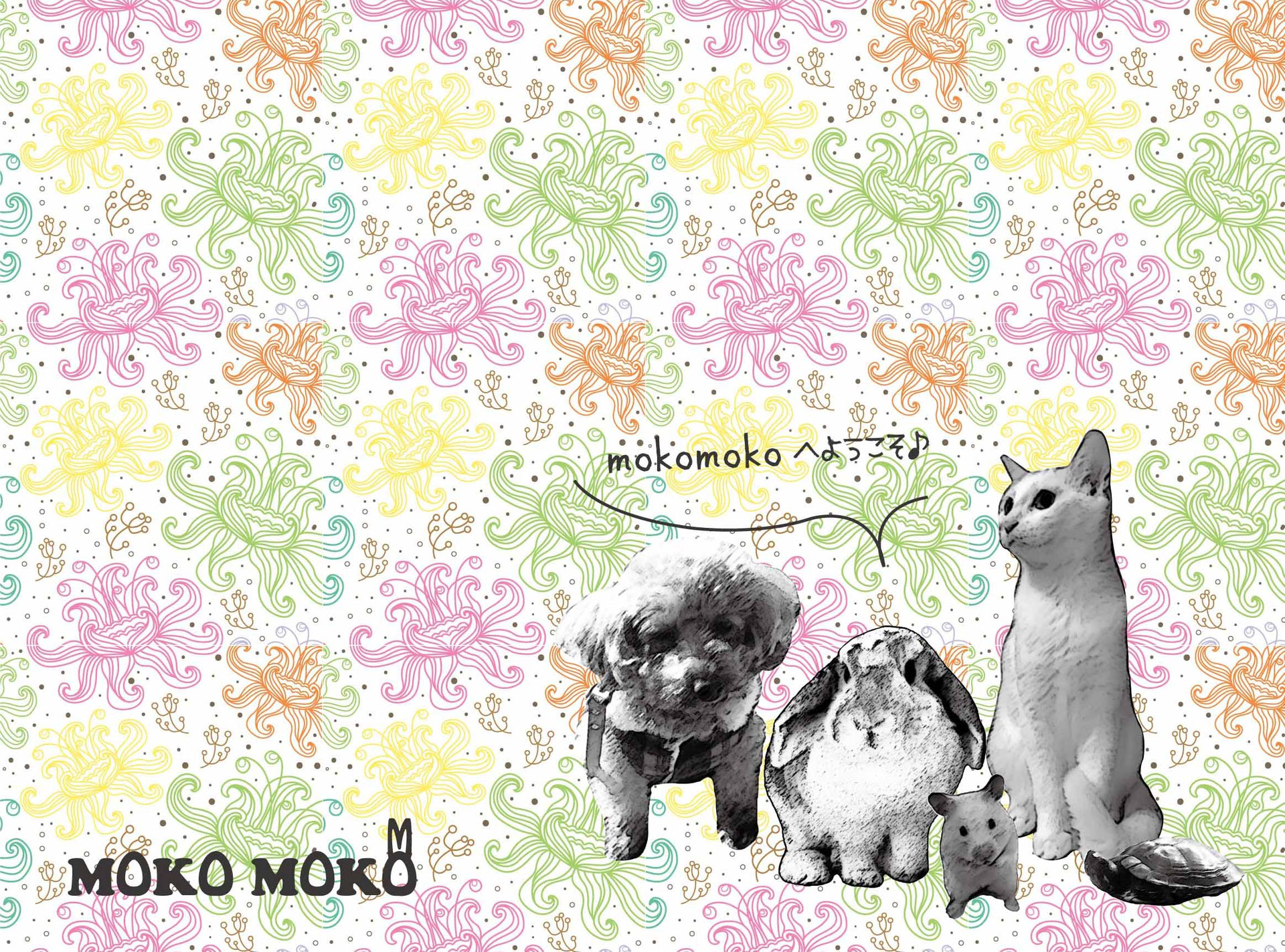 ペット名刺デザイン オリジナルペットグッズmokomoko