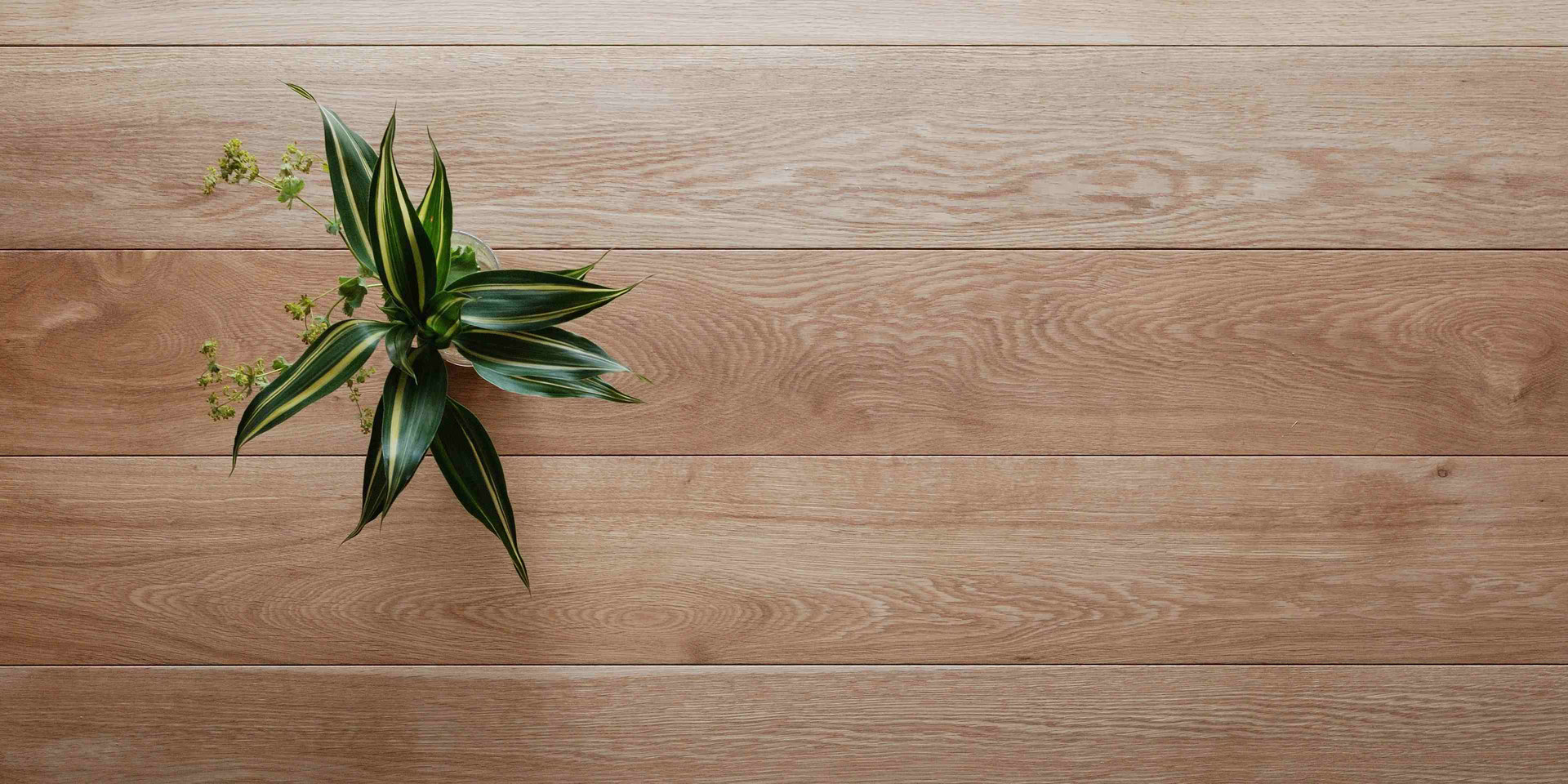 オーク プライウッド フローリング And Wood アンドウッド 無垢フローリング販売 オーク プライウッド フローリング And Wood アンドウッド 無垢フローリング販売