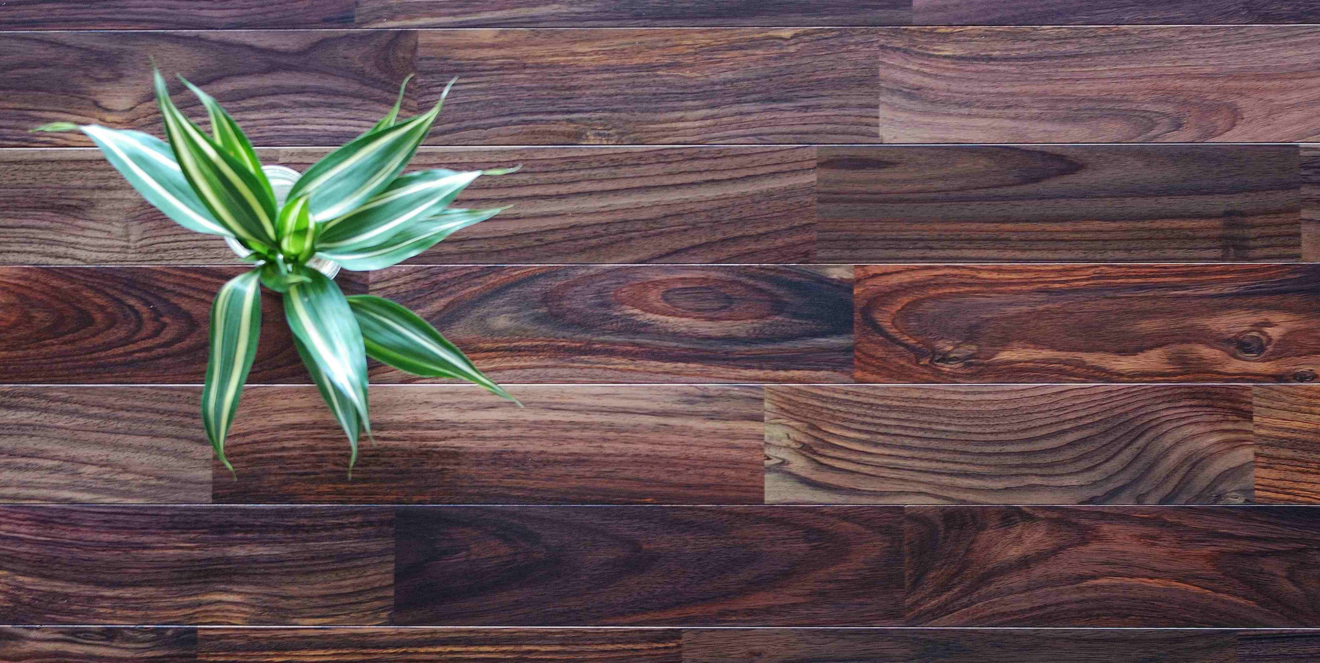 ローズ フローリング And Wood アンドウッド 無垢フローリング販売 ローズ フローリング And Wood アンドウッド 無垢フローリング販売