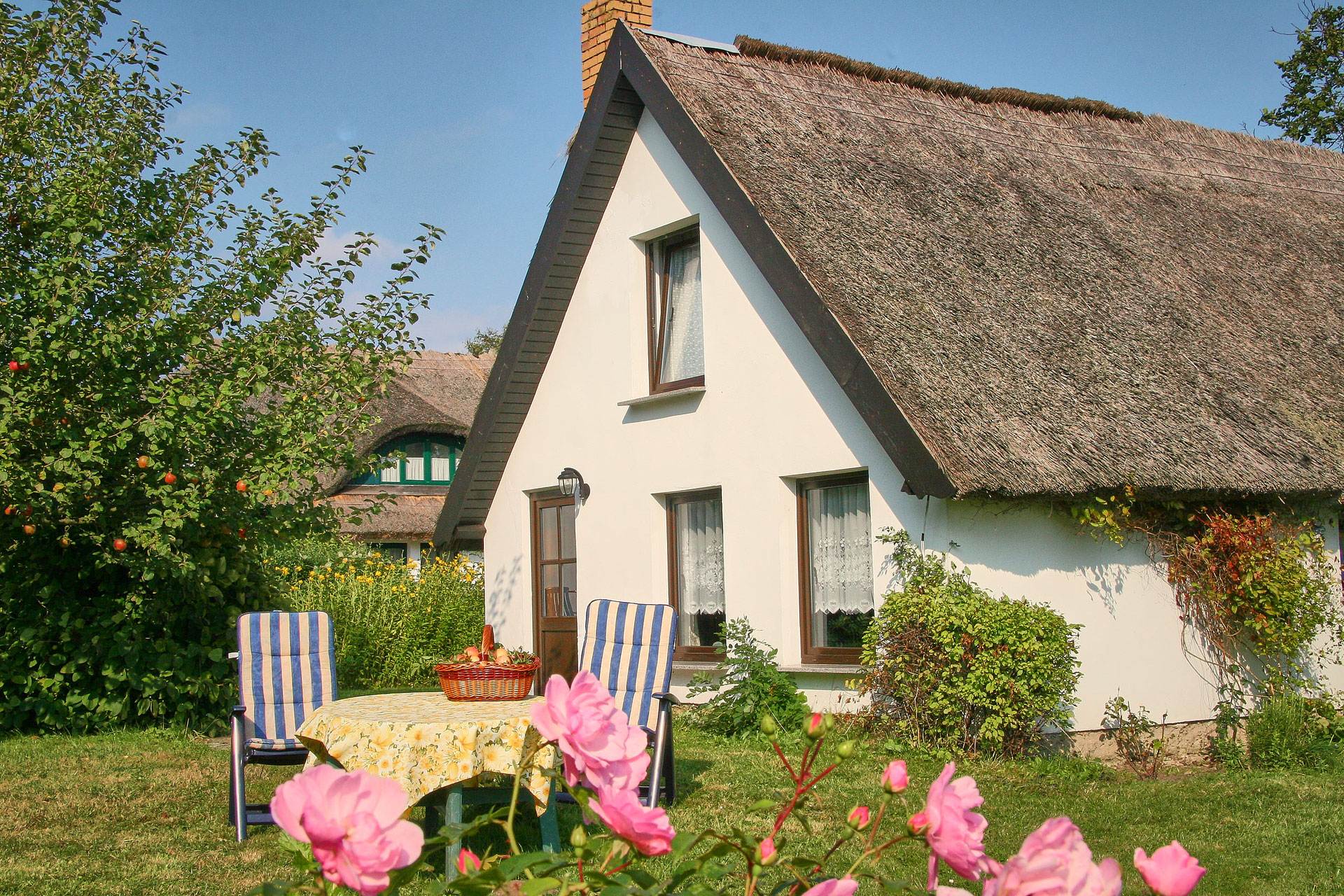 Ferienwohnung "Strandläufer" - seeblick-ruegens Webseite!