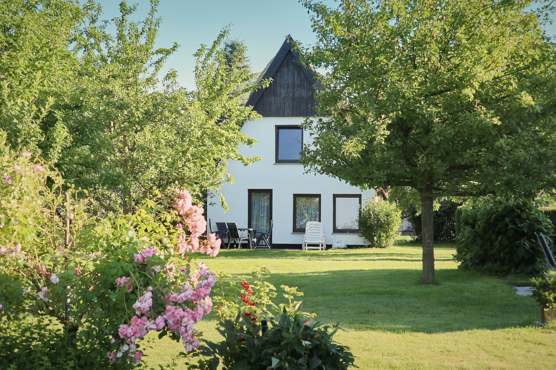 Ferienhaus "sommerliebe" Ferienhaus "Sommerliebe" - seeblick-ruegens Webseite!