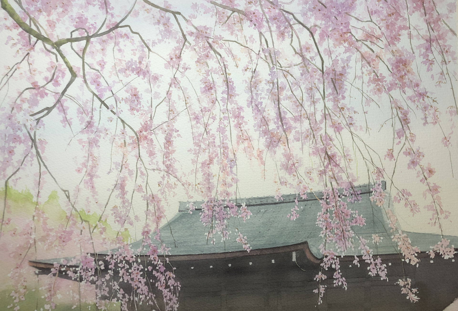 水彩画原画 枝垂れ桜・角館 ＃631 | iichi 日々の暮らしを